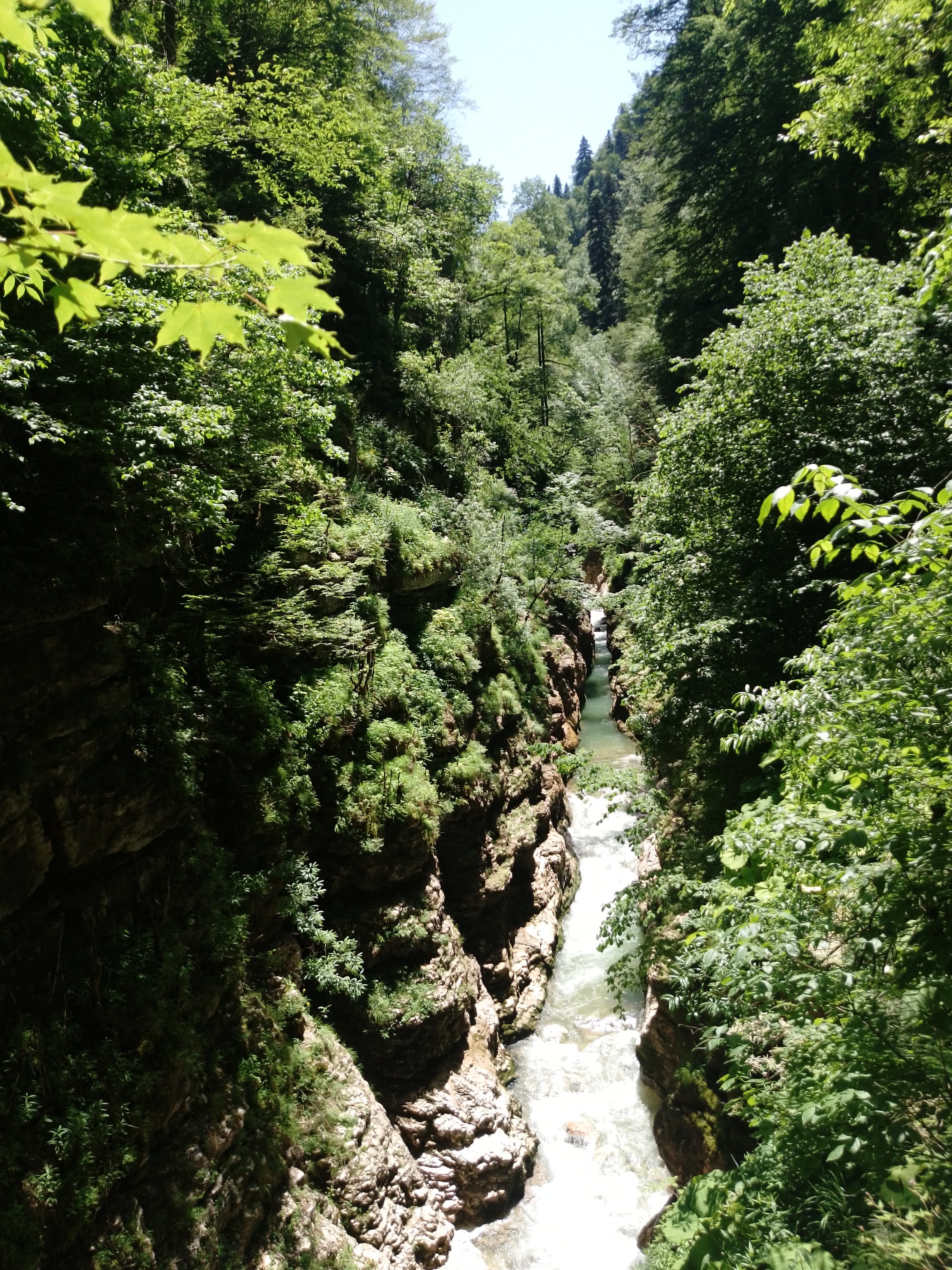 Фото Дача под Горой