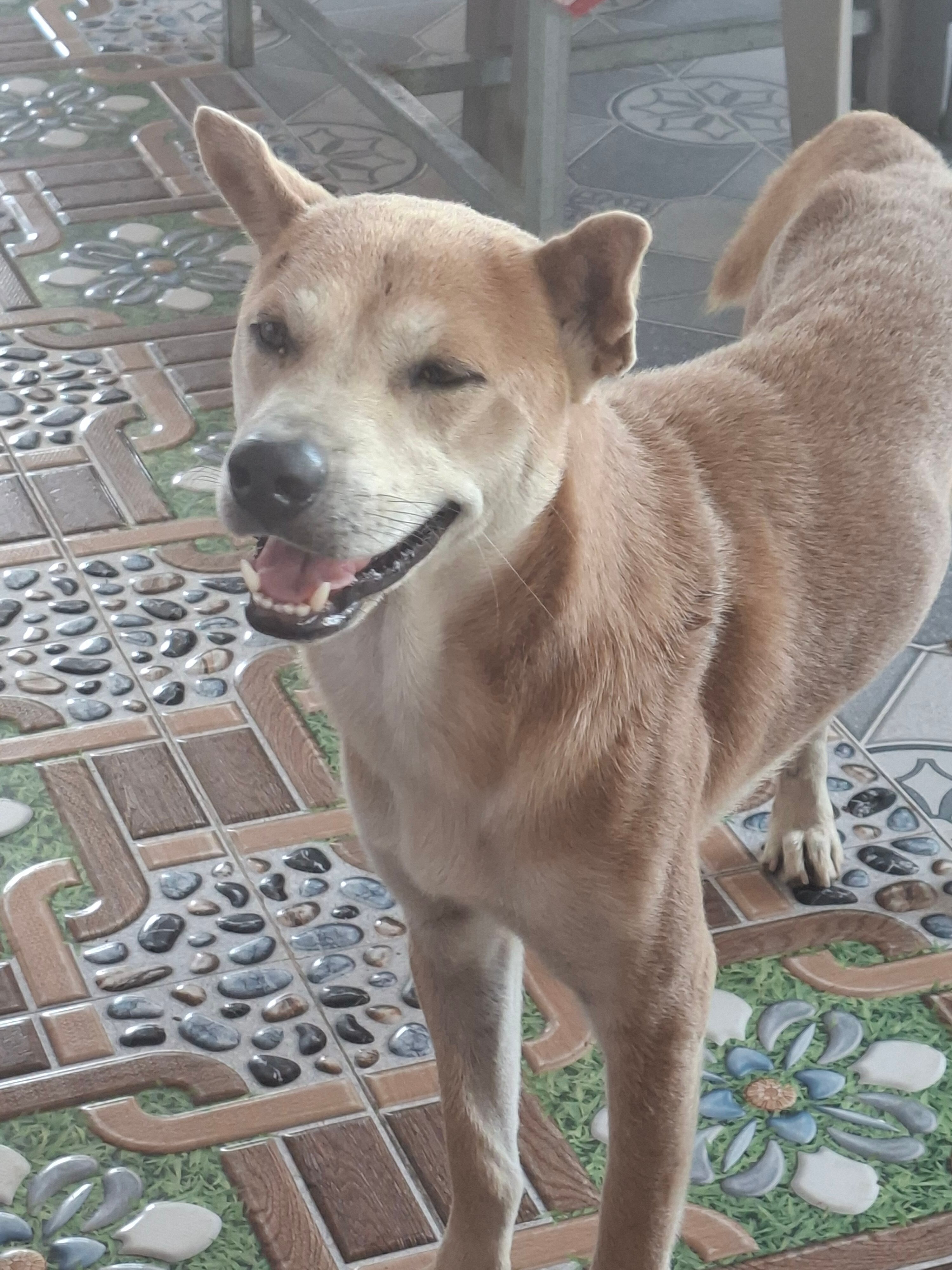 Фото Yasaka Saigon Nha Trang