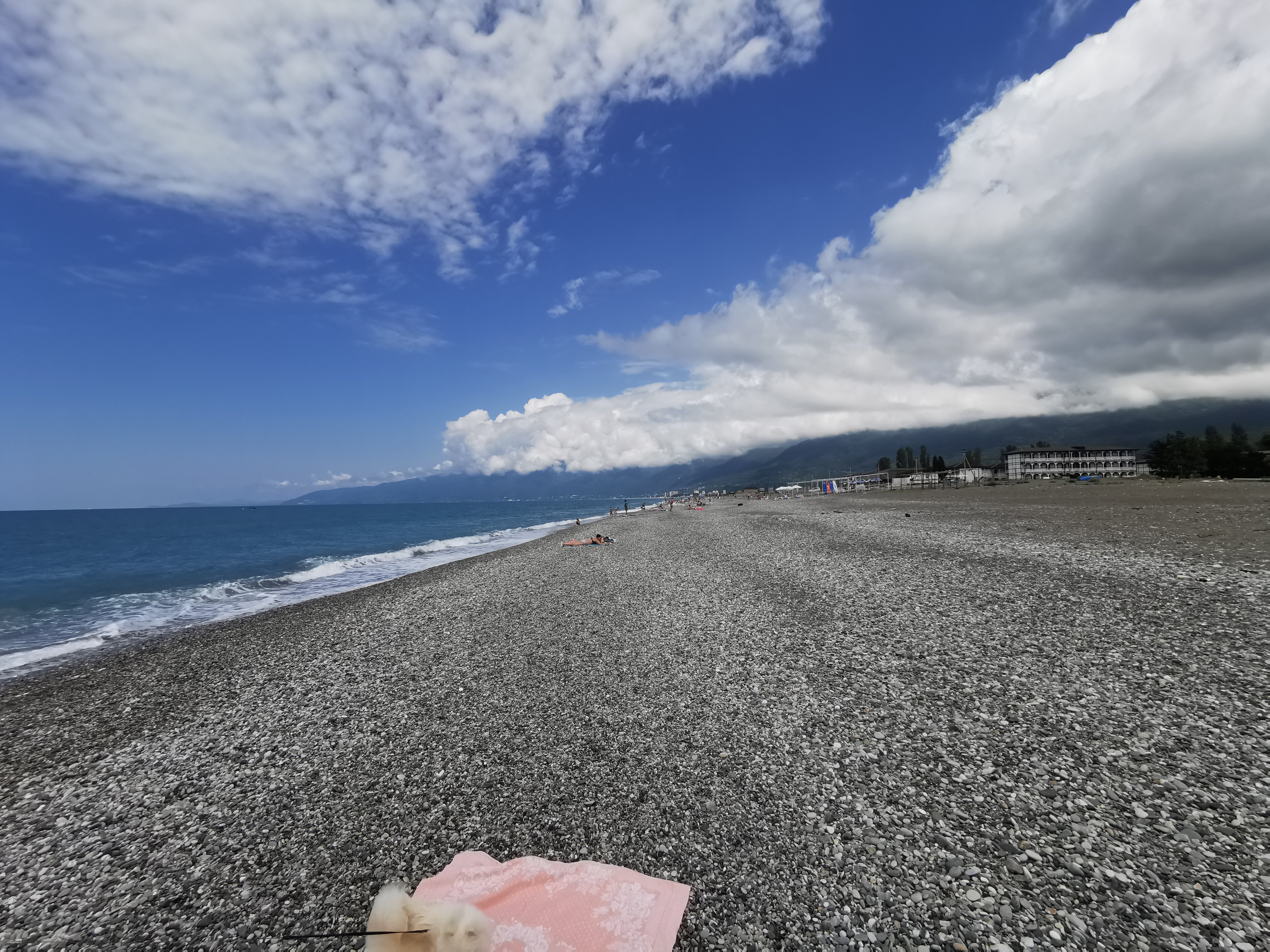 Фото Эко Магнолия