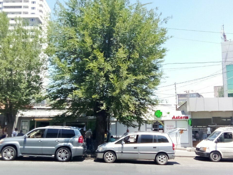 Hairdresser Aleqsanyan Image Studio, Yerevan, photo