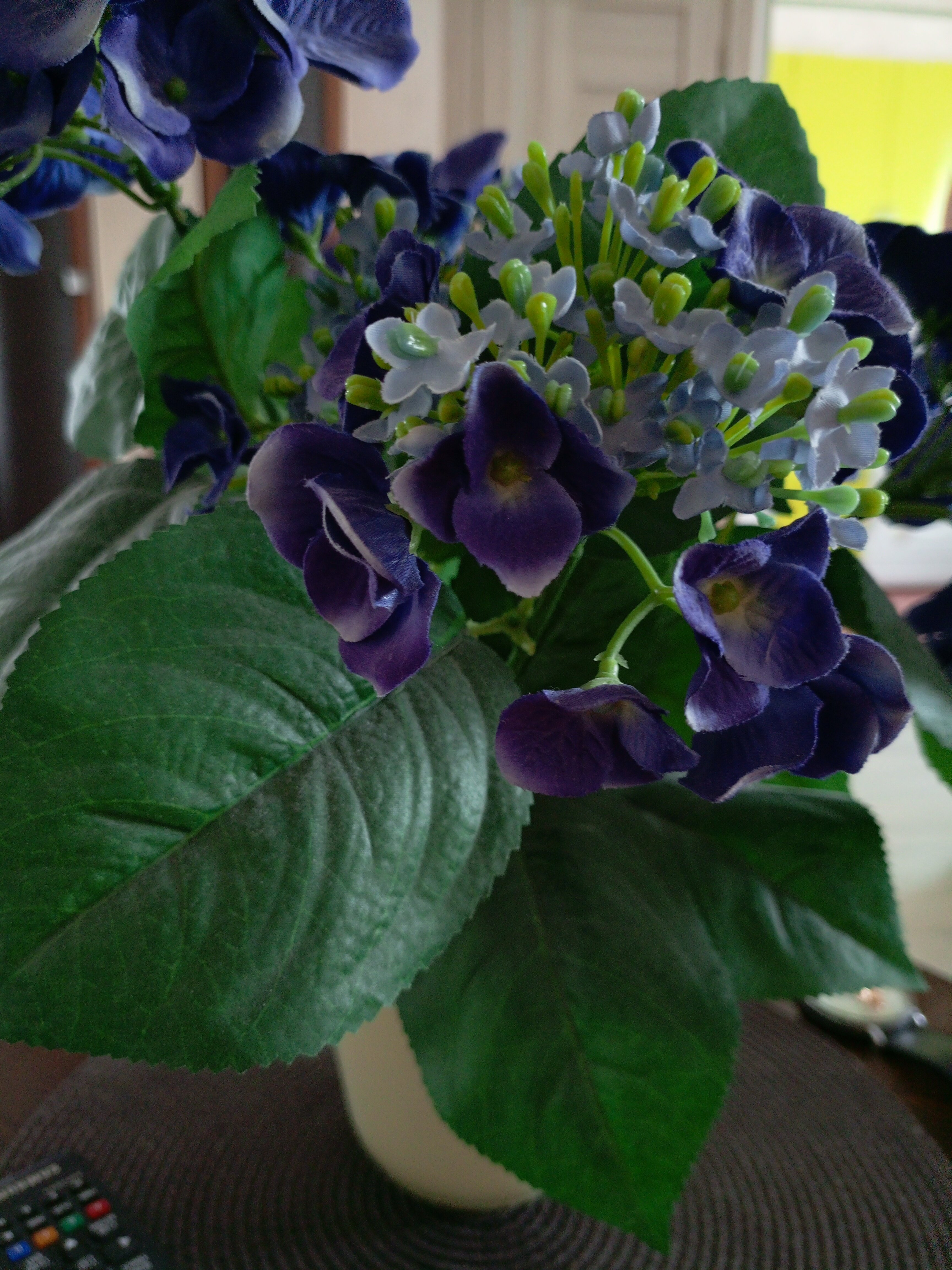 Фото Олимпия