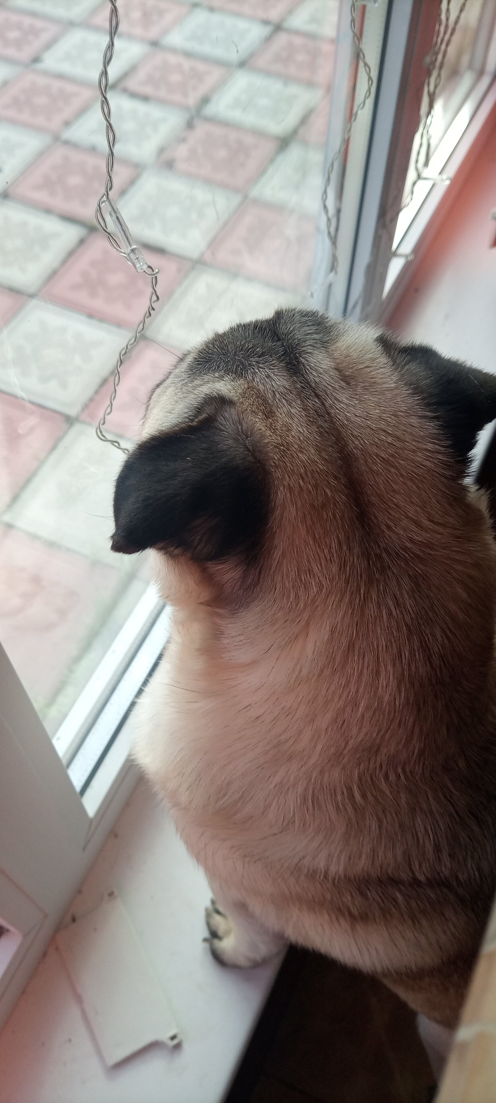 Фото А у Оки