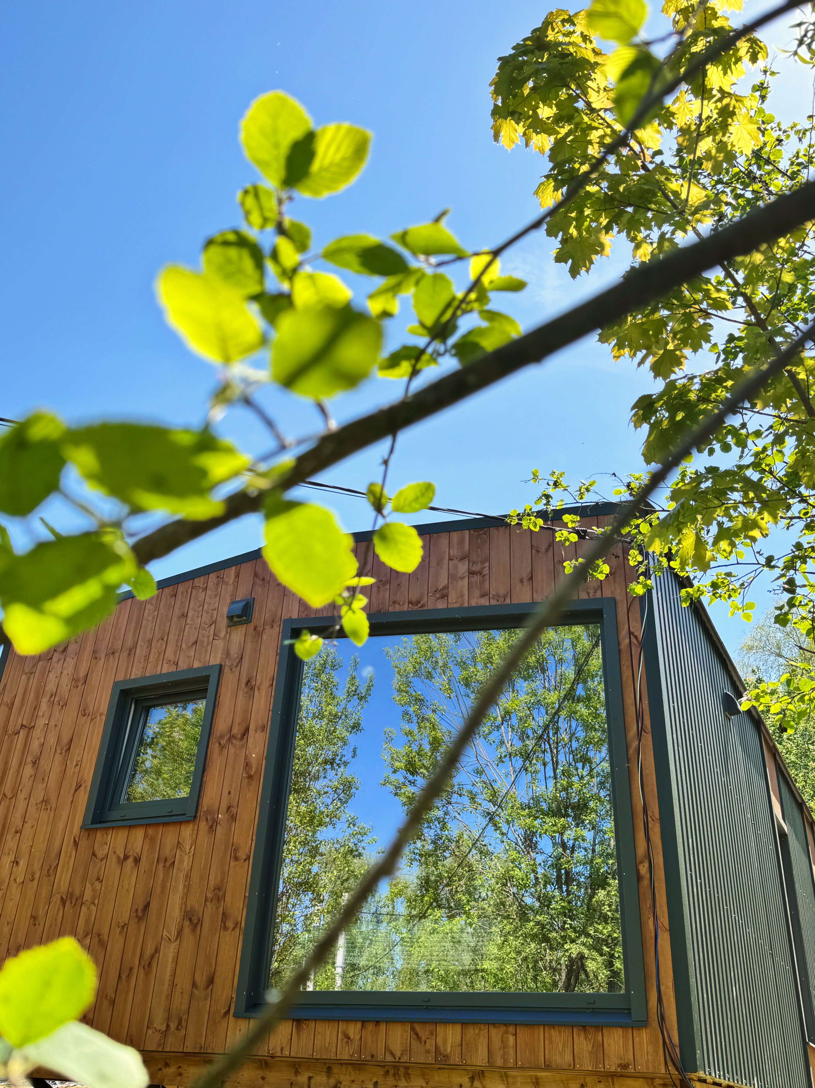 Фото Три Обезьяны