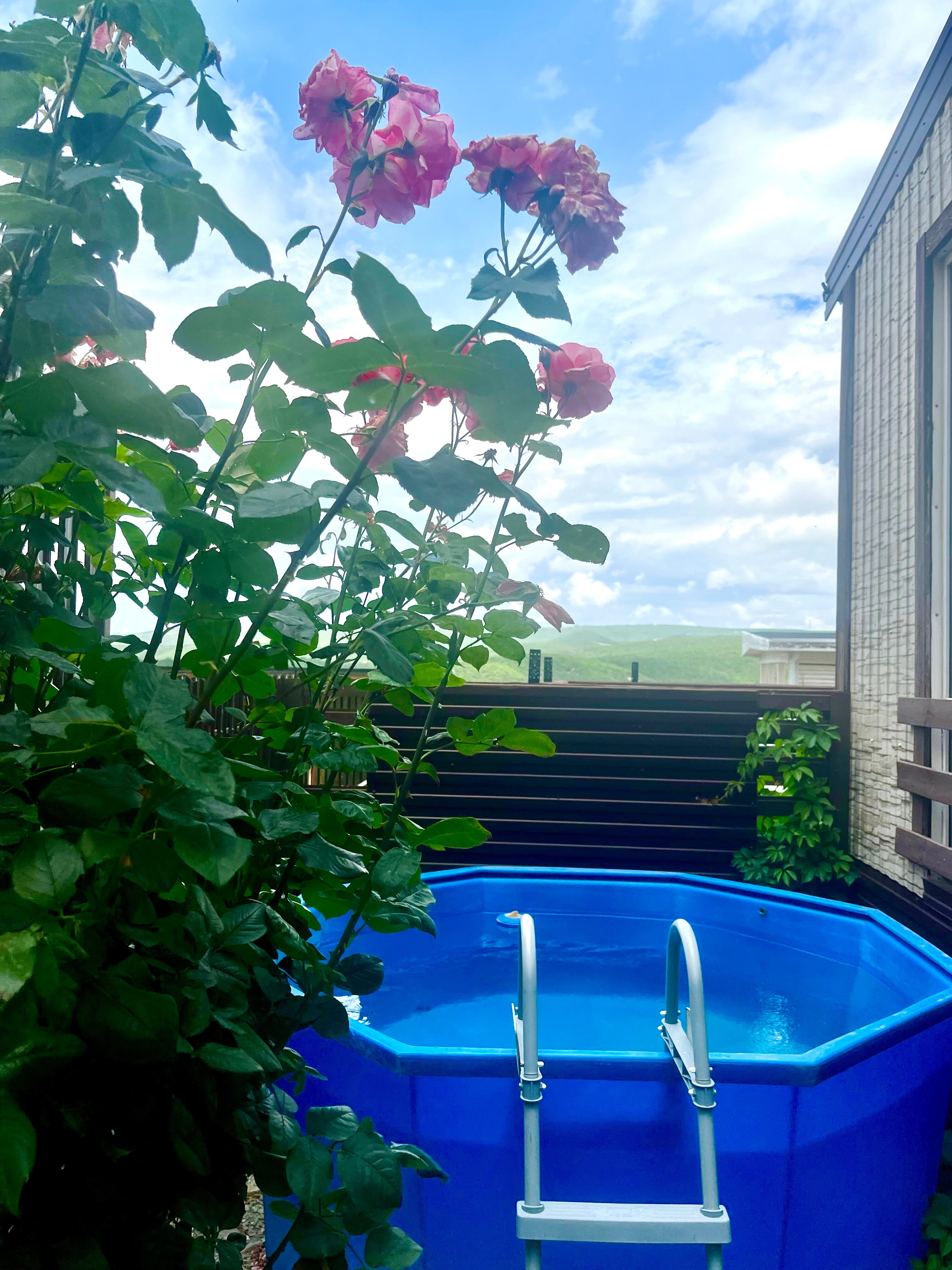 Фото Villa Palermo