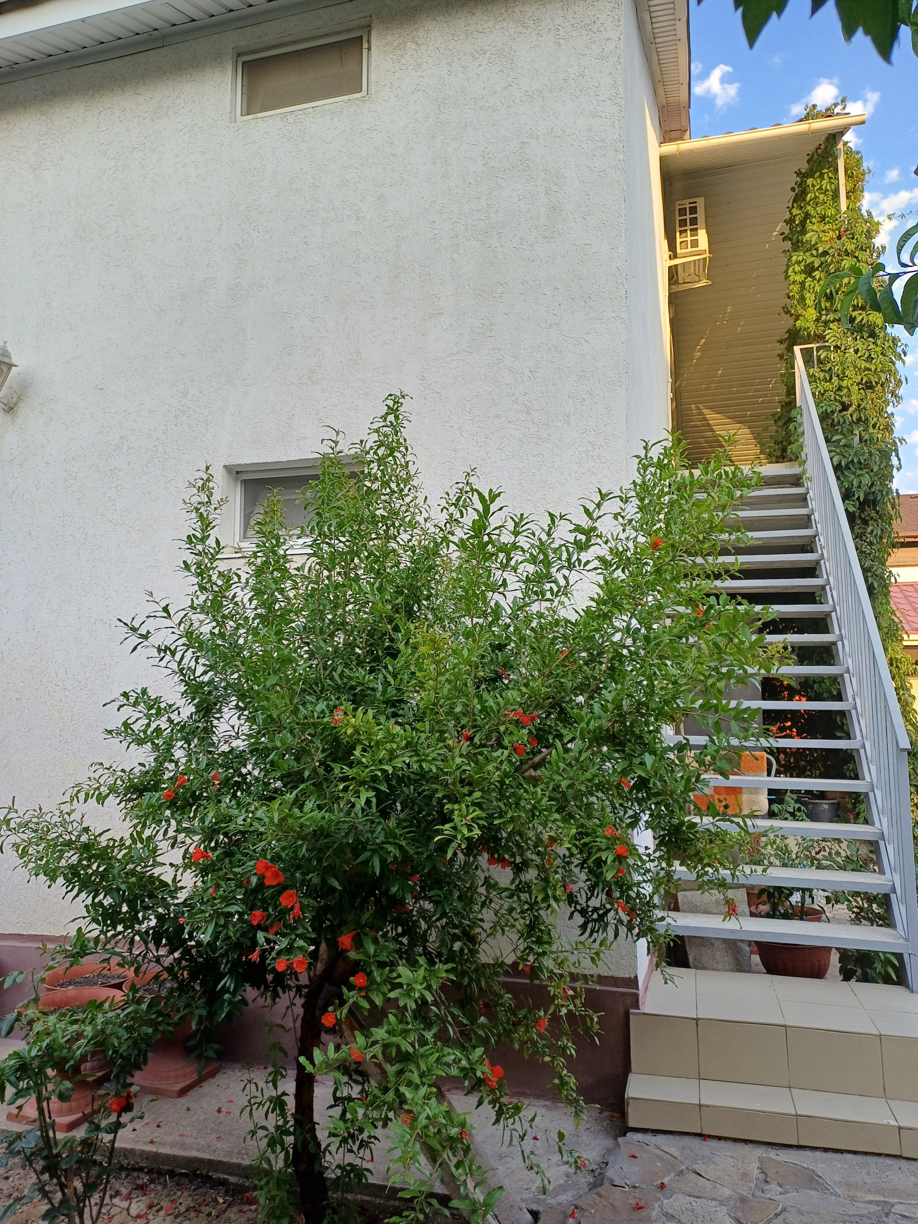 Фото Лето на Заречной