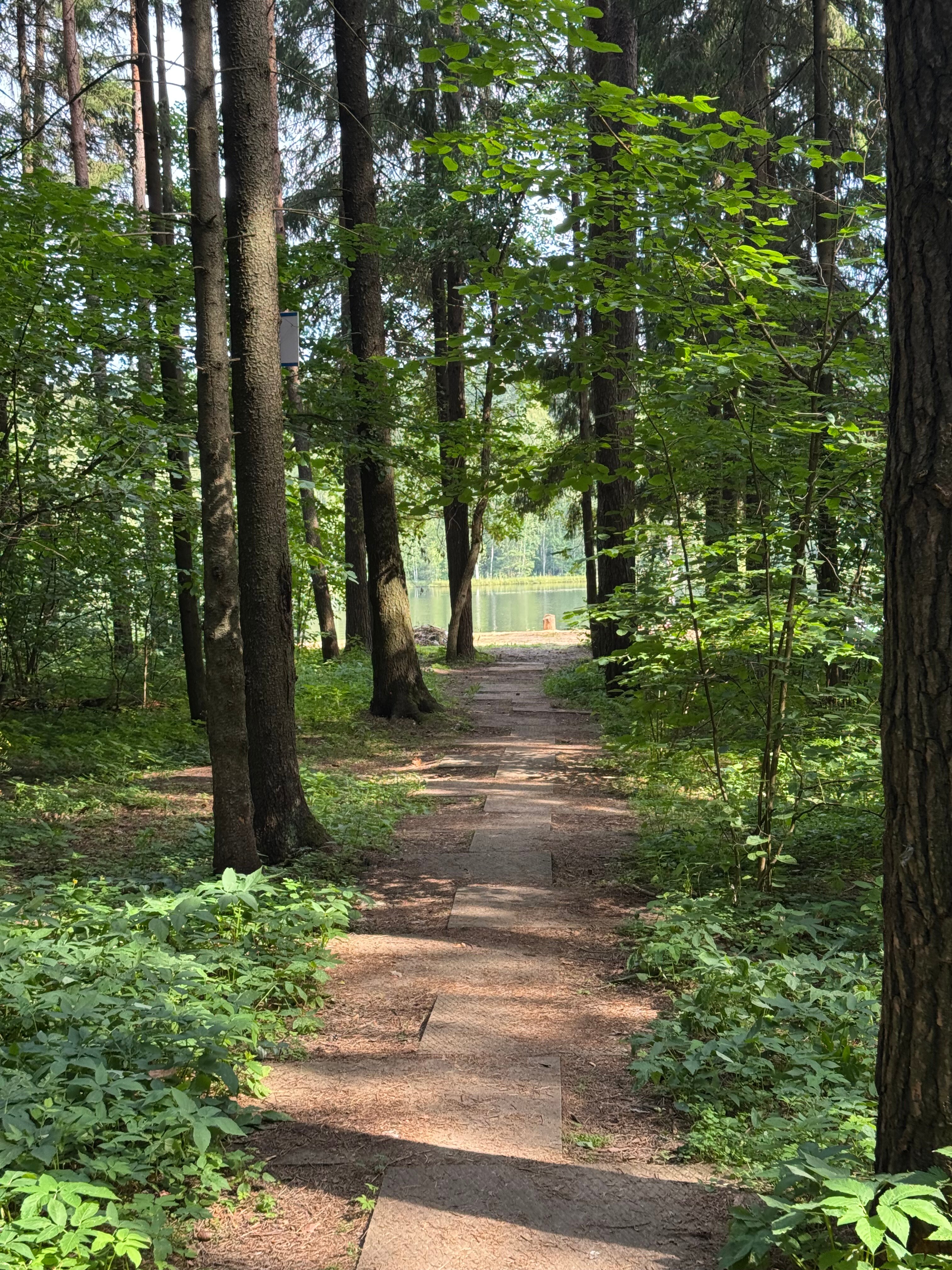 Фото Озеро белых лилий