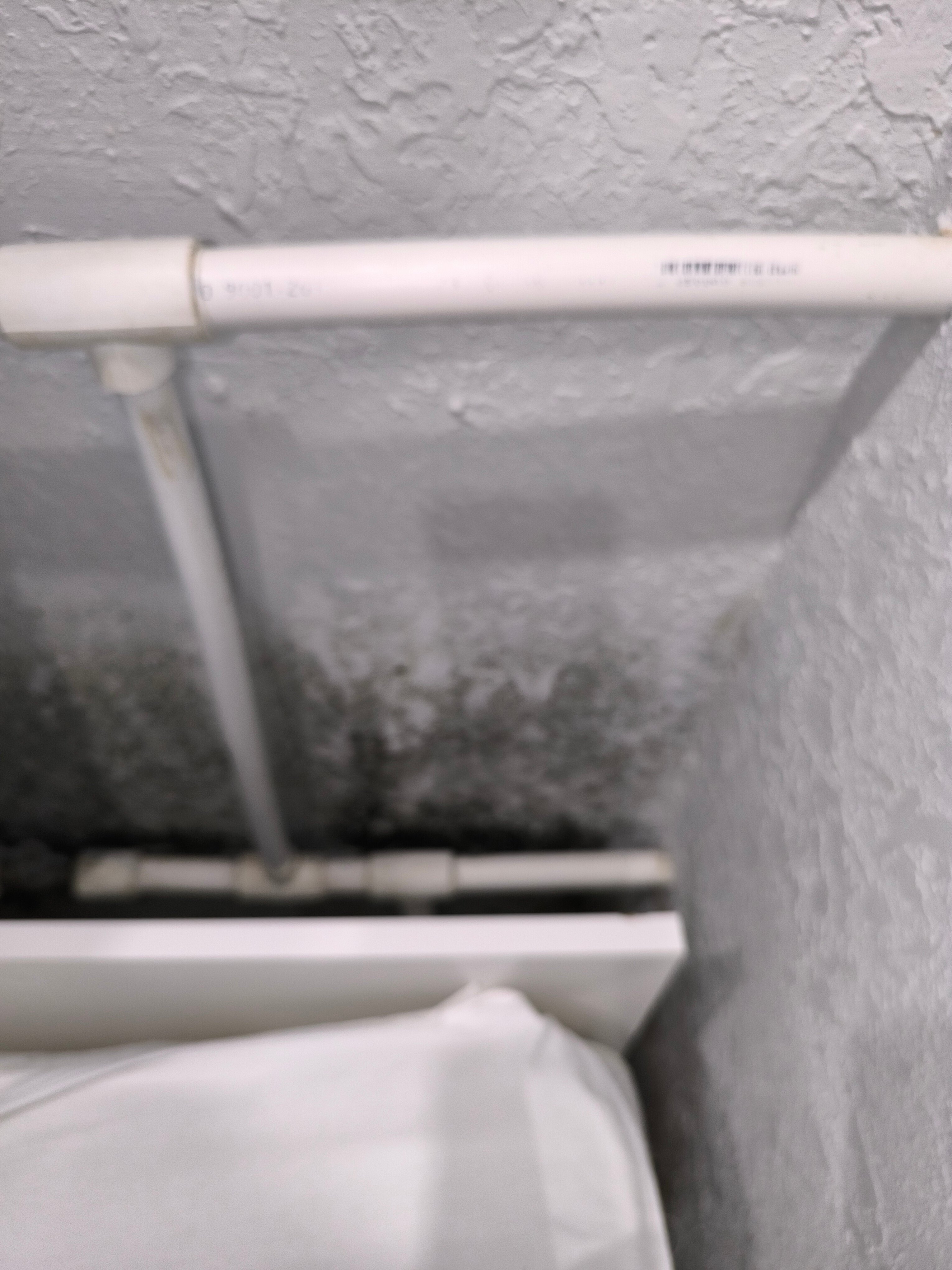 Фото Мой Питер