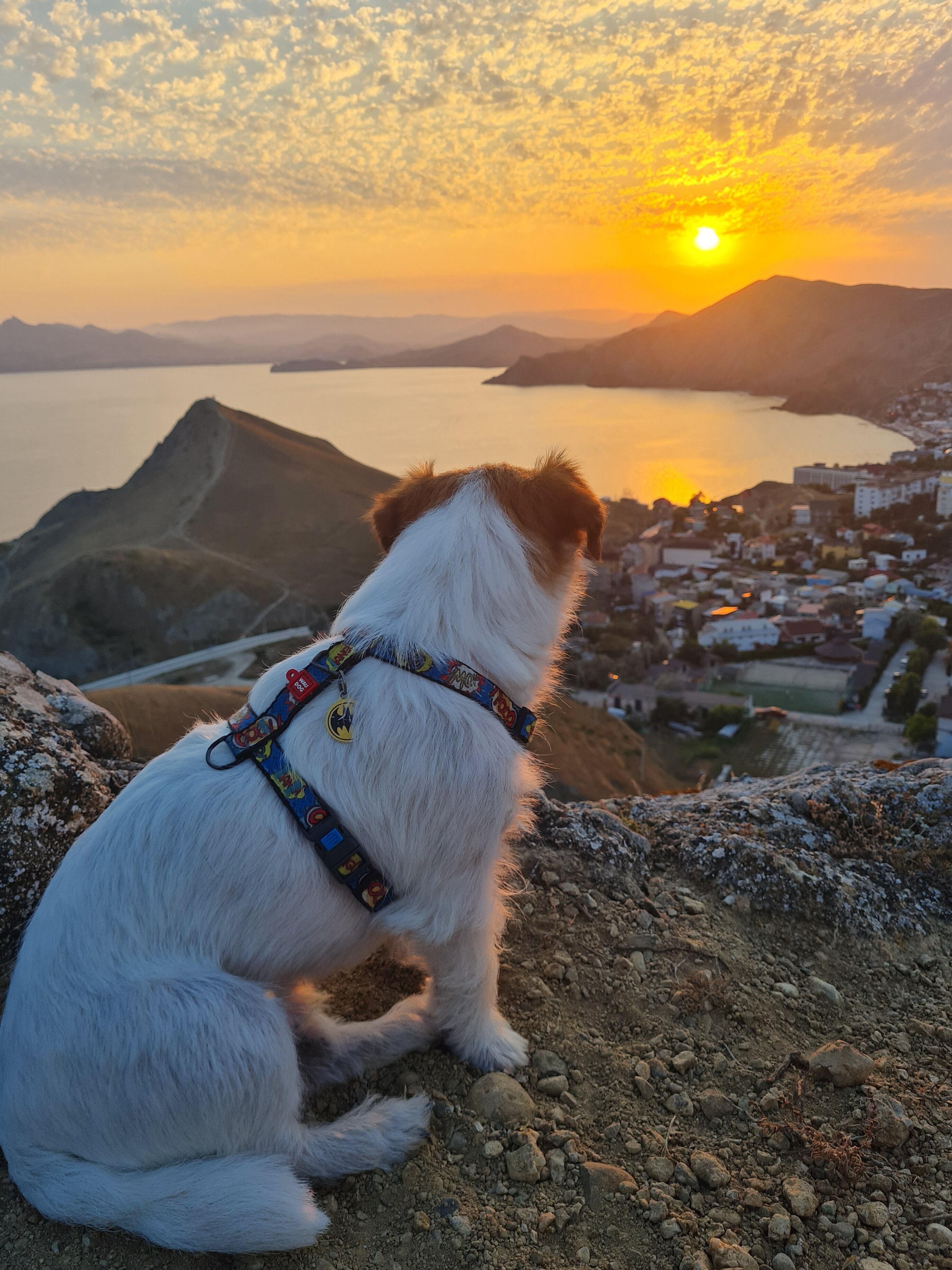 Фото Григорий