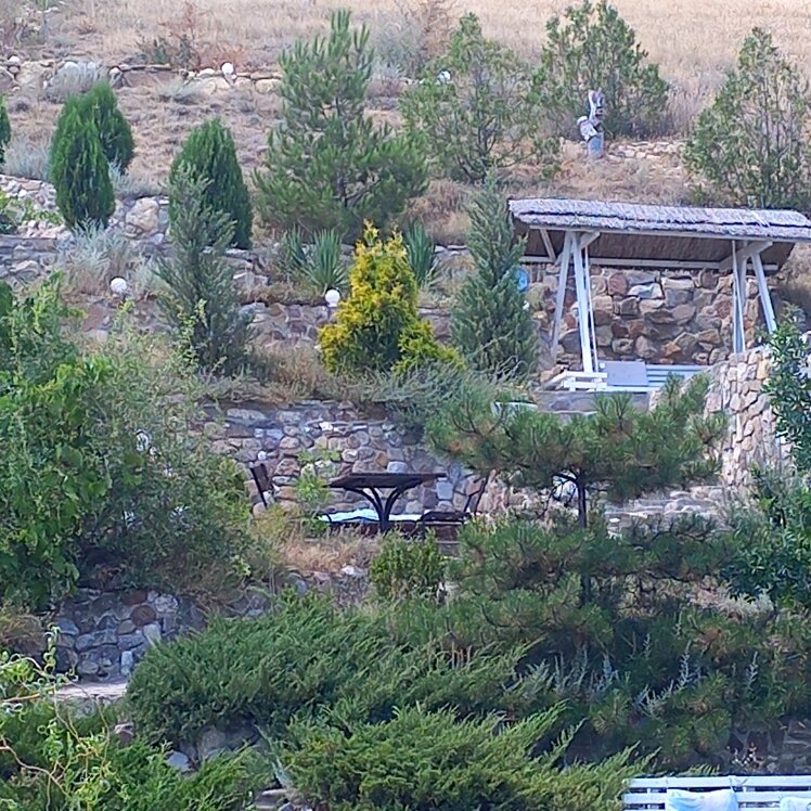 Фото Солярис