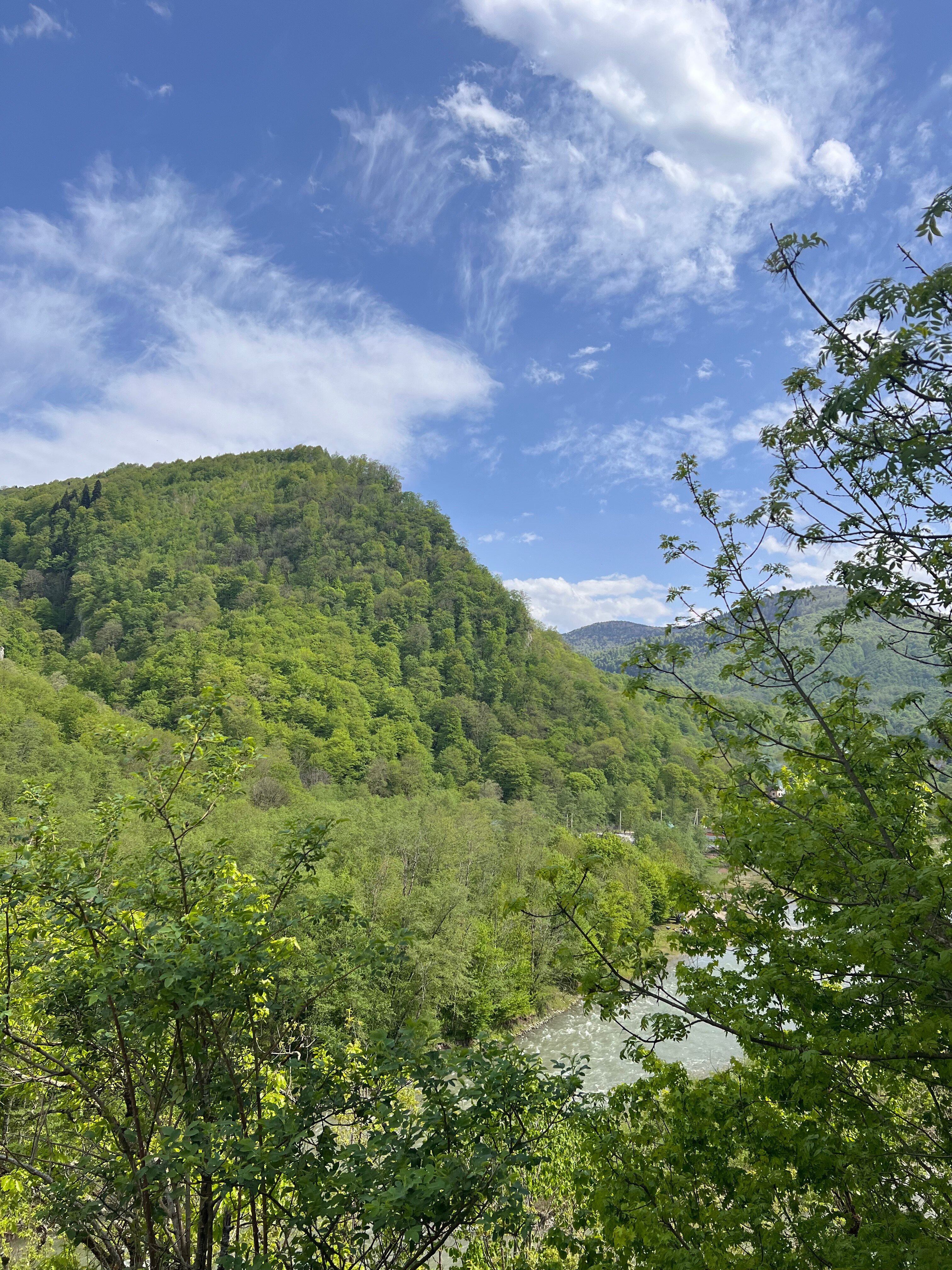 Фото Forest Village