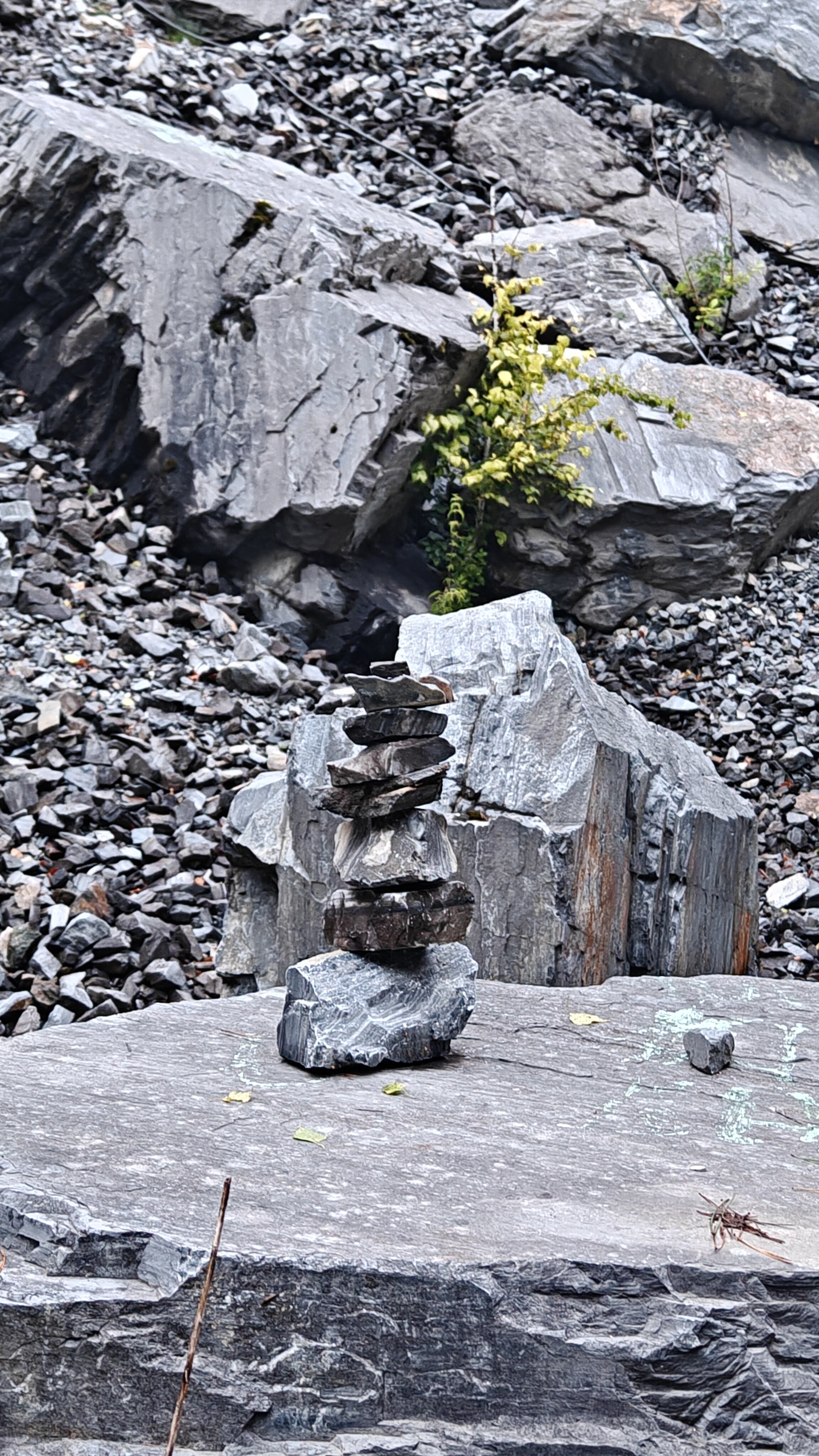 Фото Синегорье