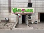 Cvetochnik (Gagarin Avenue, 100), flower shop