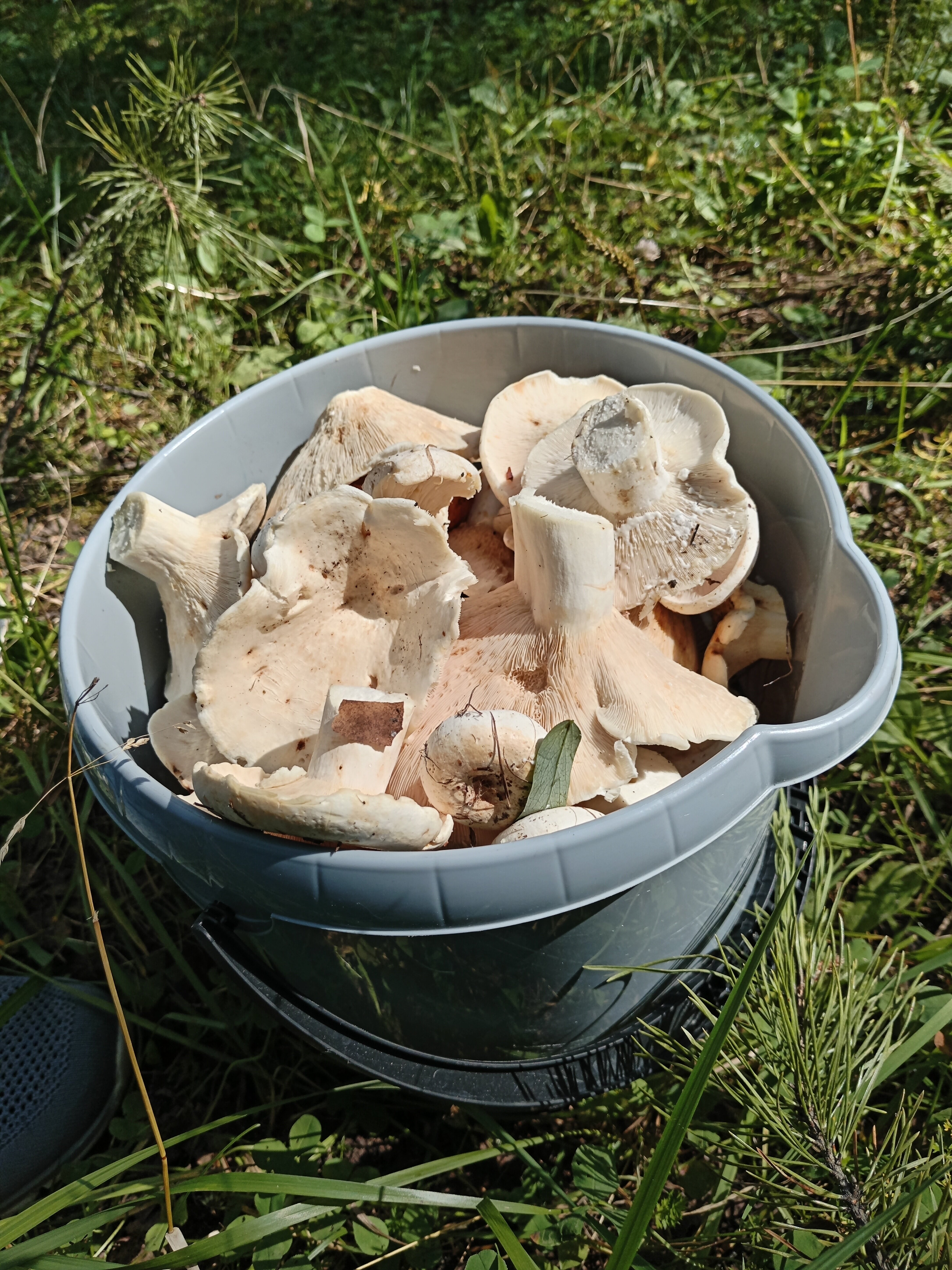 Фото Межгорье