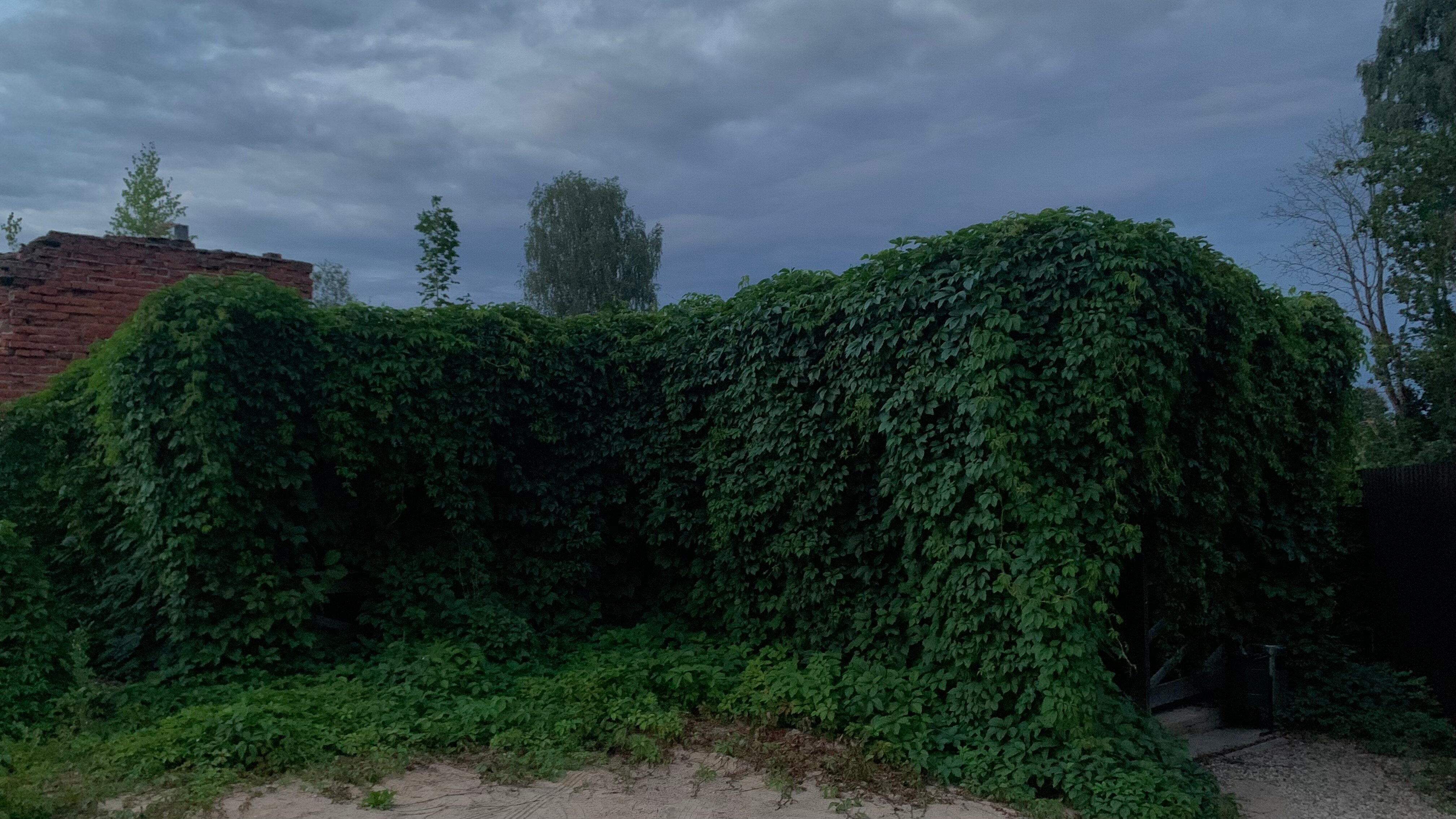 Фото Родник