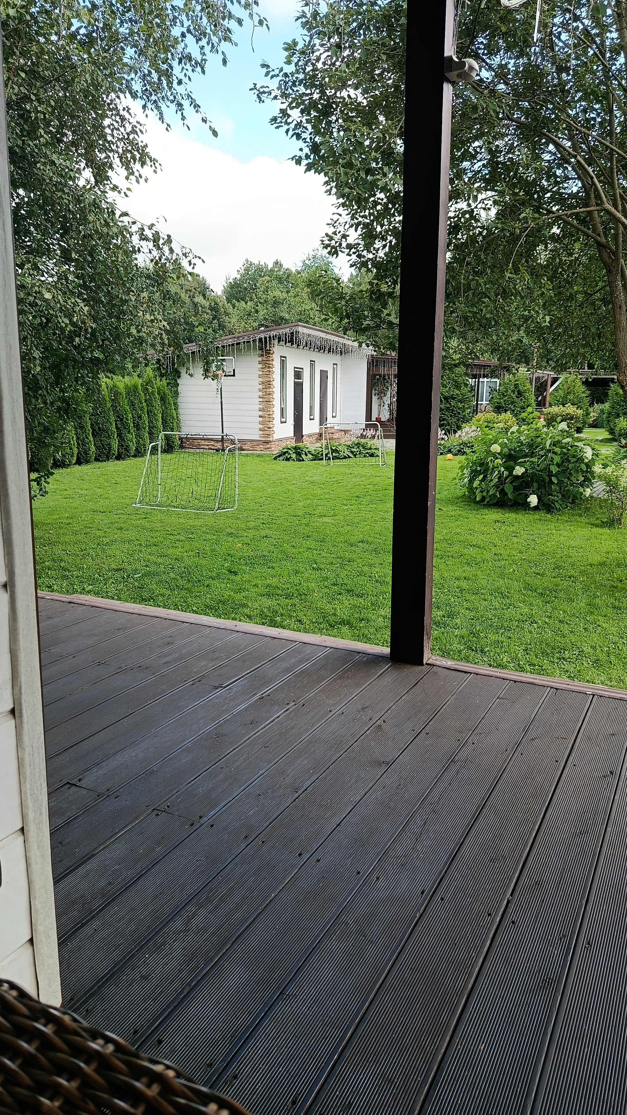 Фото Метелица