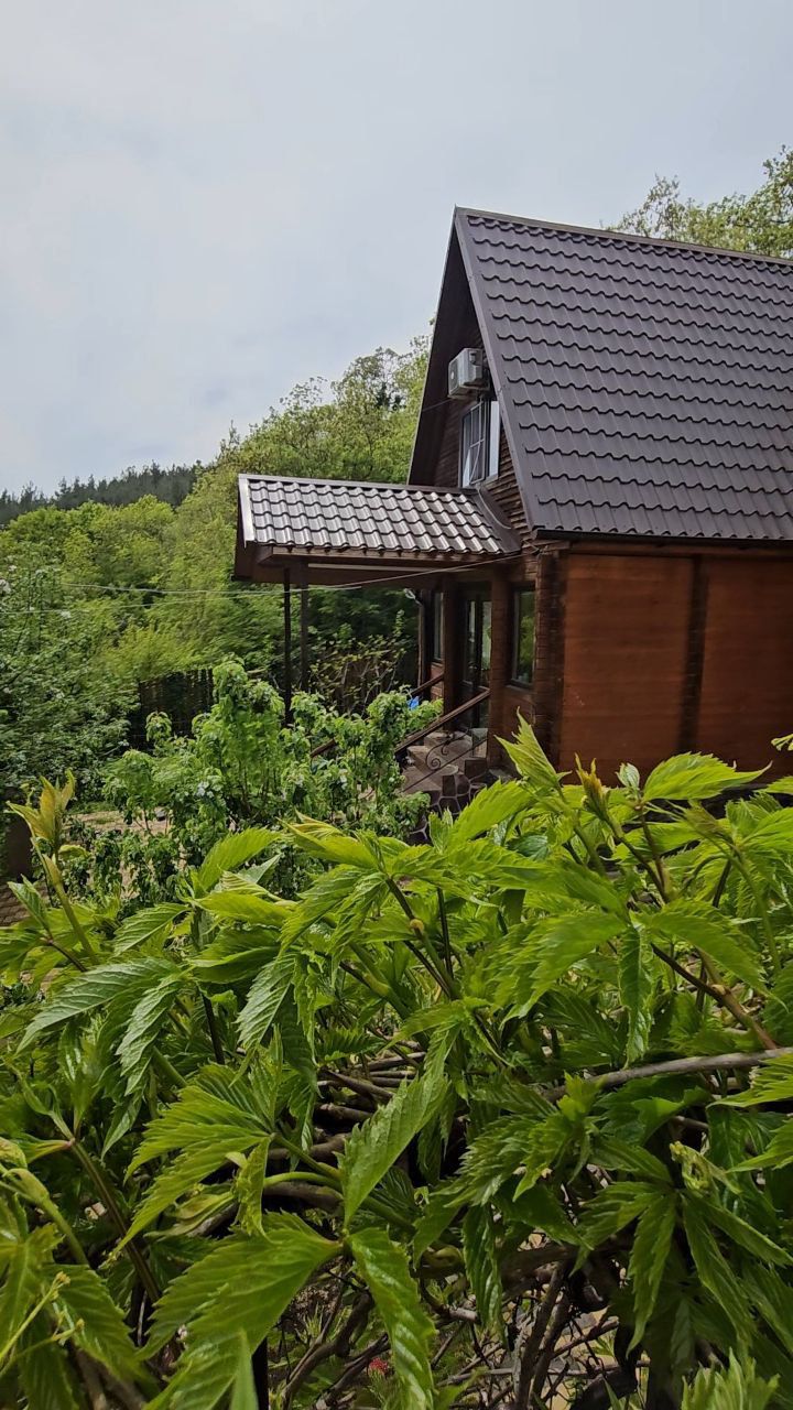 Фото 77999069616