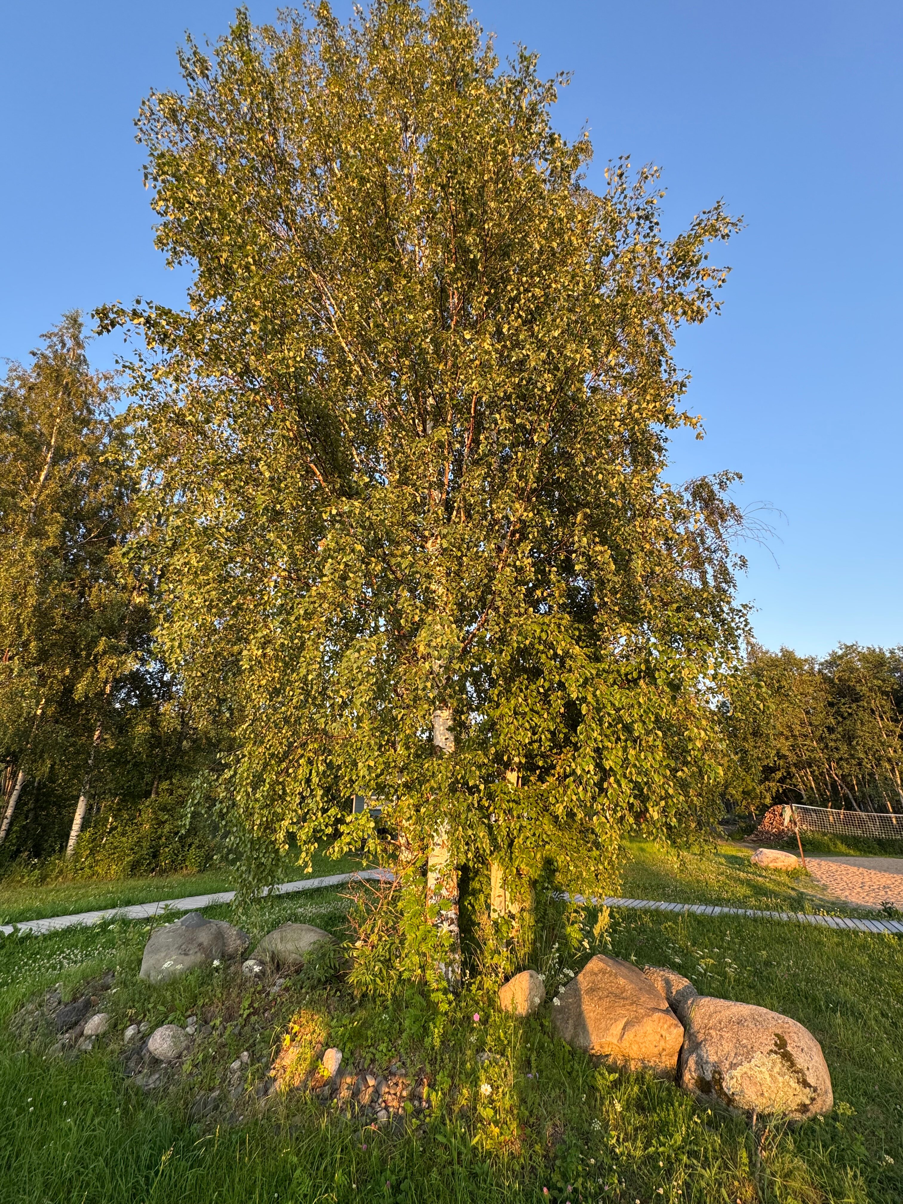 Фото Видноозеро