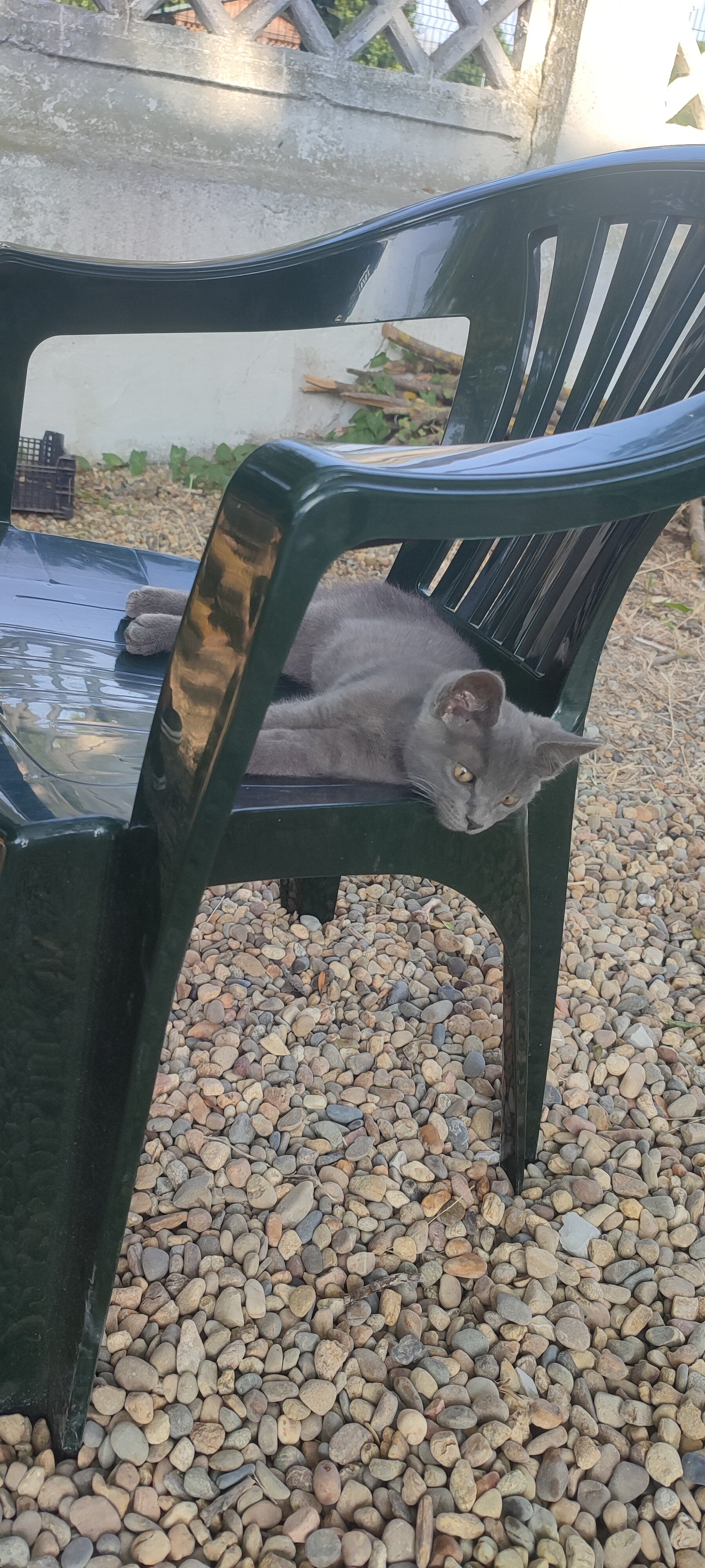 Фото Светлана