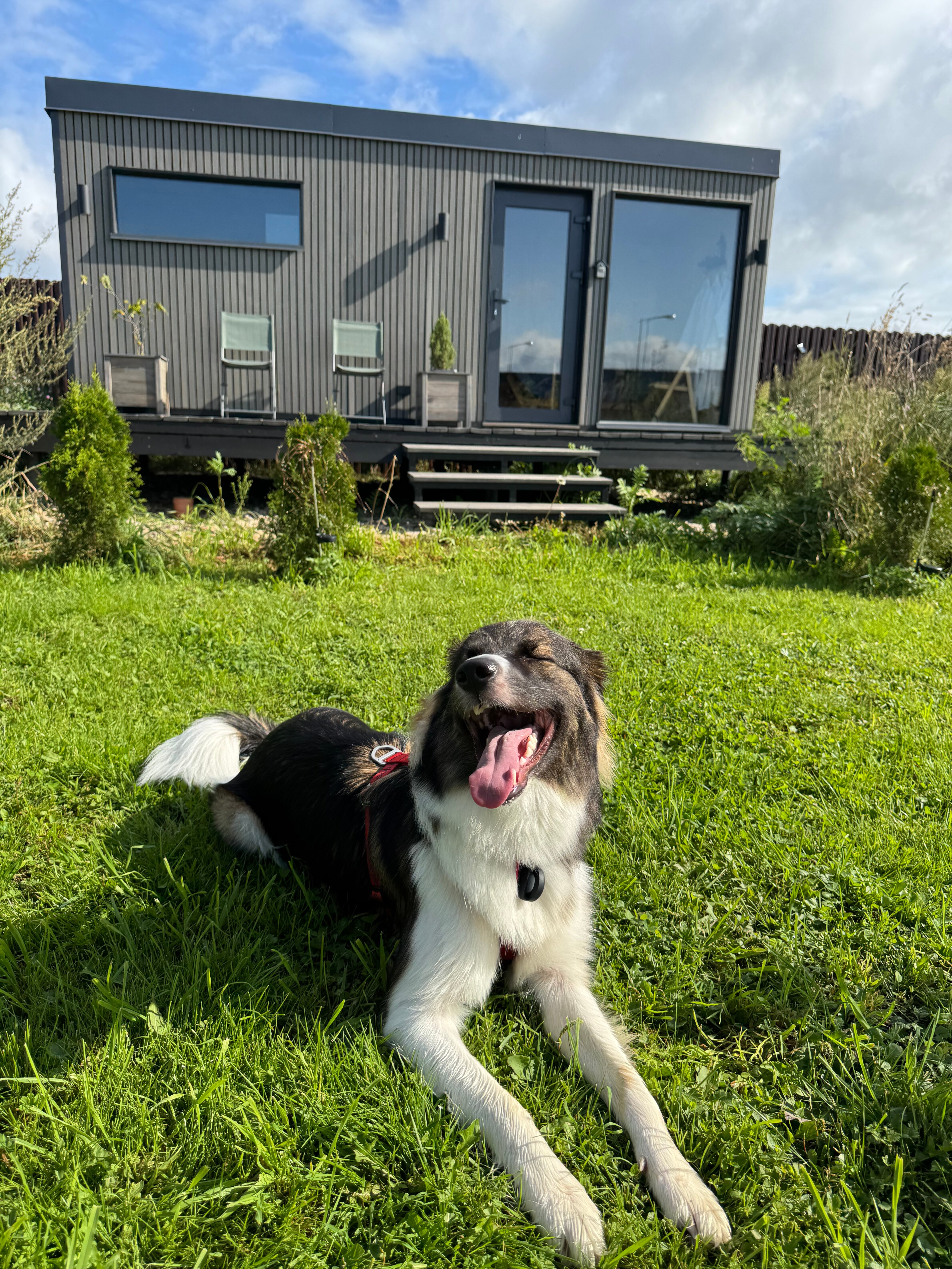 Фото Каприот