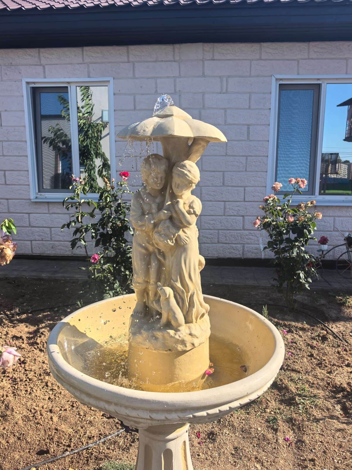 Фото Гостевой дом Сириус