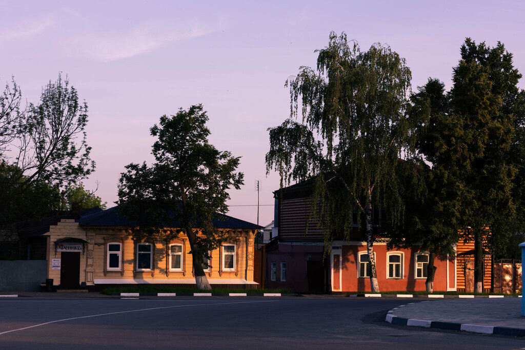 Landmark, attraction Деревянный одноэтажный дом, Dankov, photo