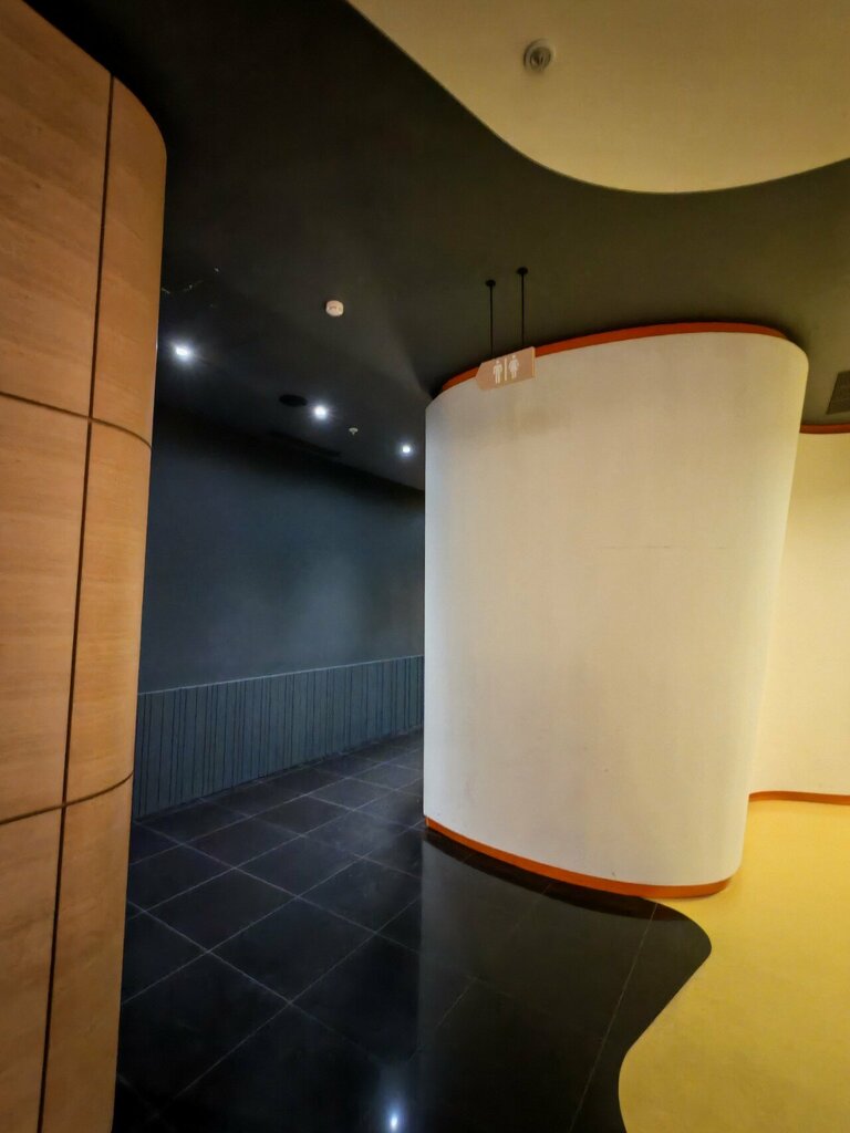 Toilet Accessible toilet, Yerevan, photo