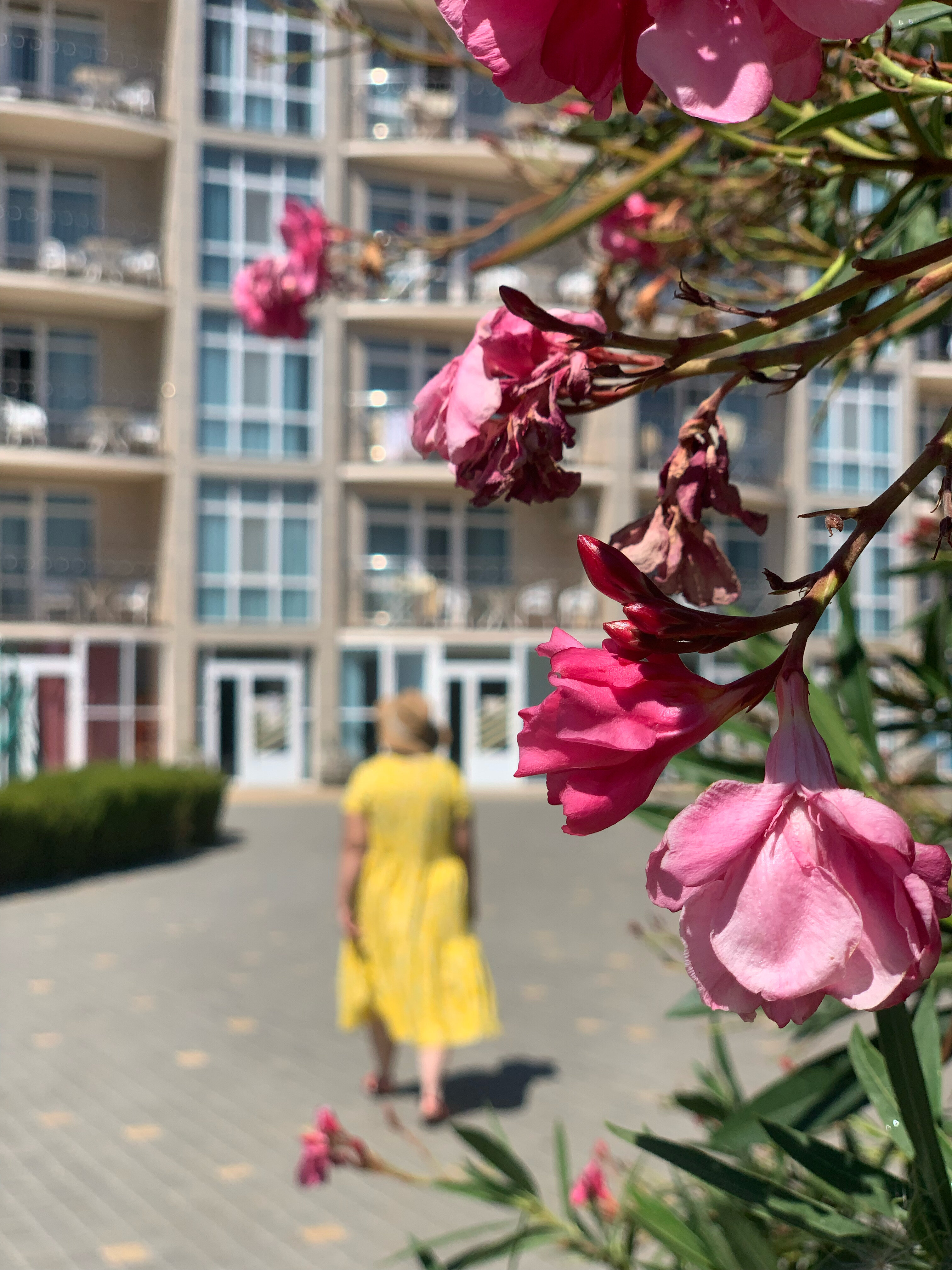 Фото Морской