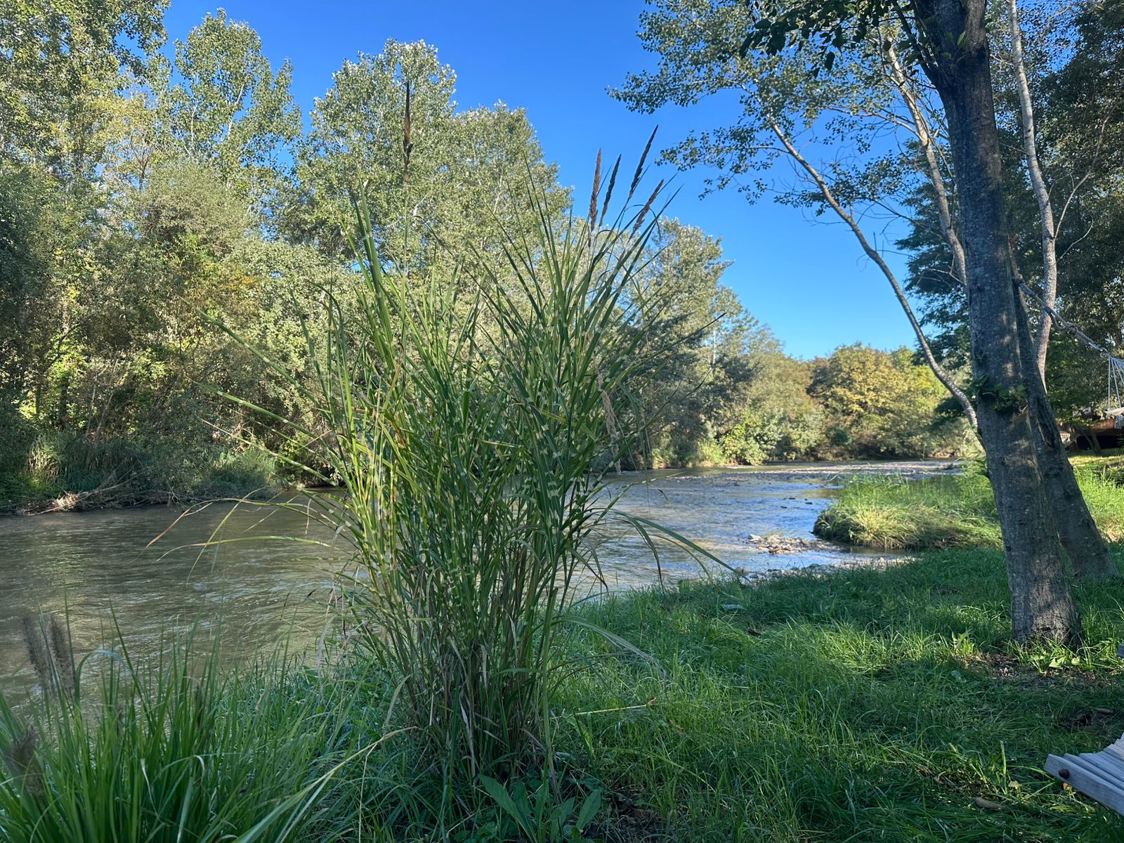 Фото Загородный клуб Лес