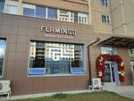 Flamingo (Yablochkova Street, 3), beauty salon