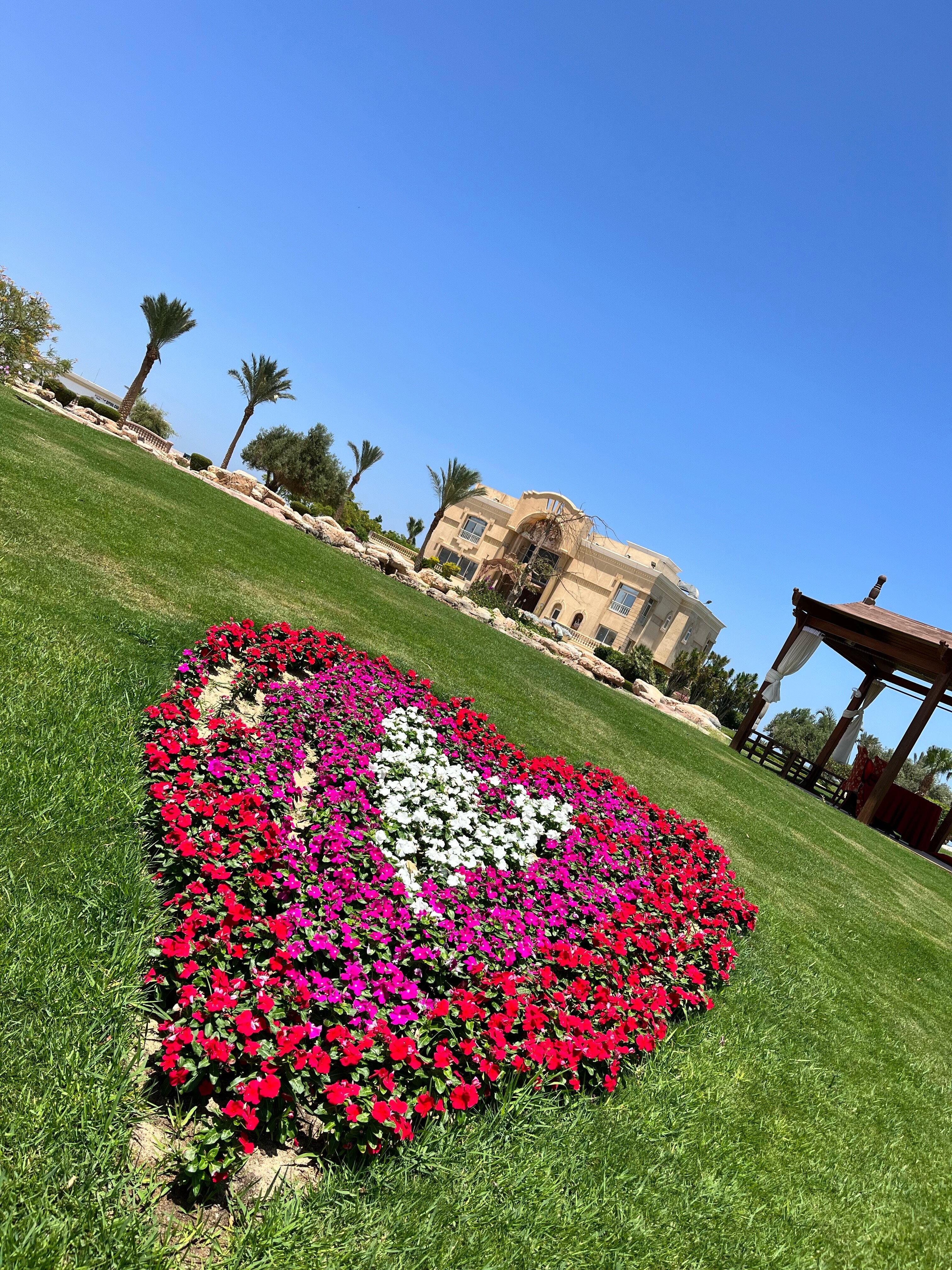 Фото Palm Royale Resort Soma Bay