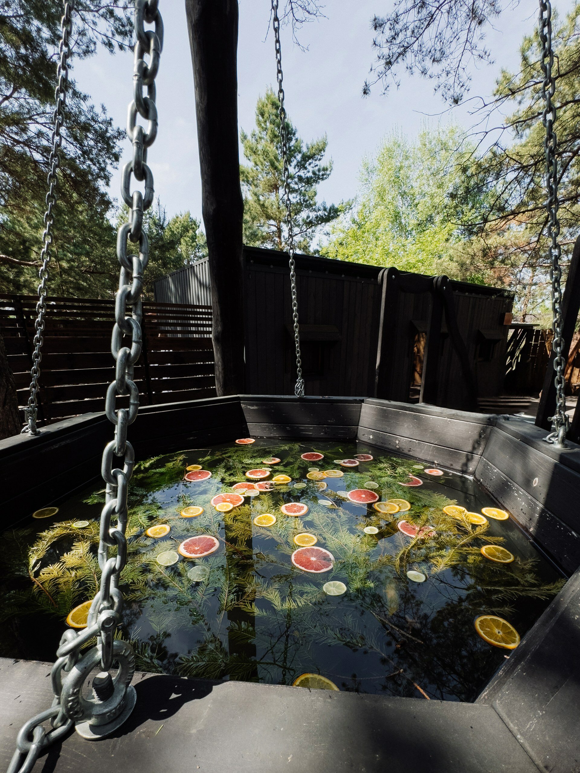 Фото Эко-клуб Шышки