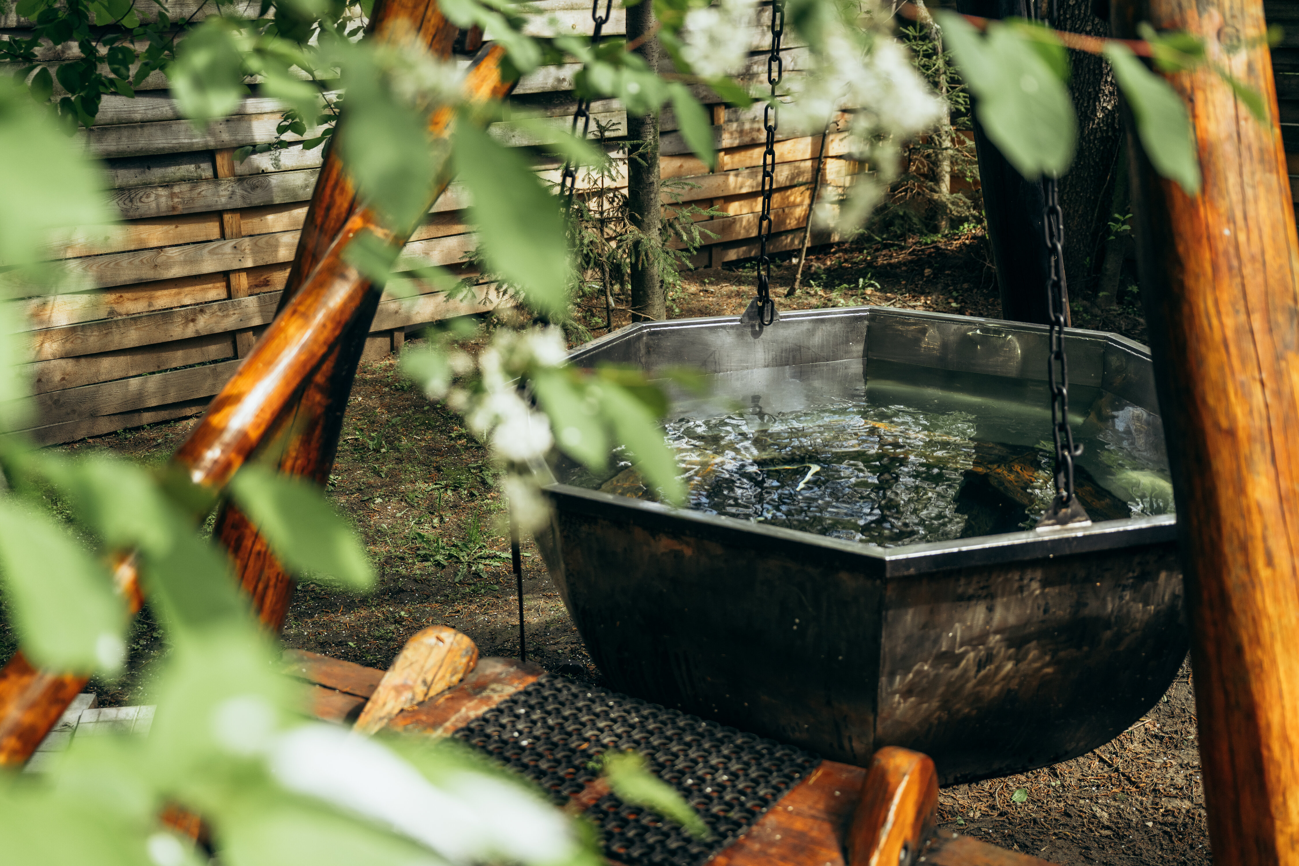 Фото Гуси-Лебеди