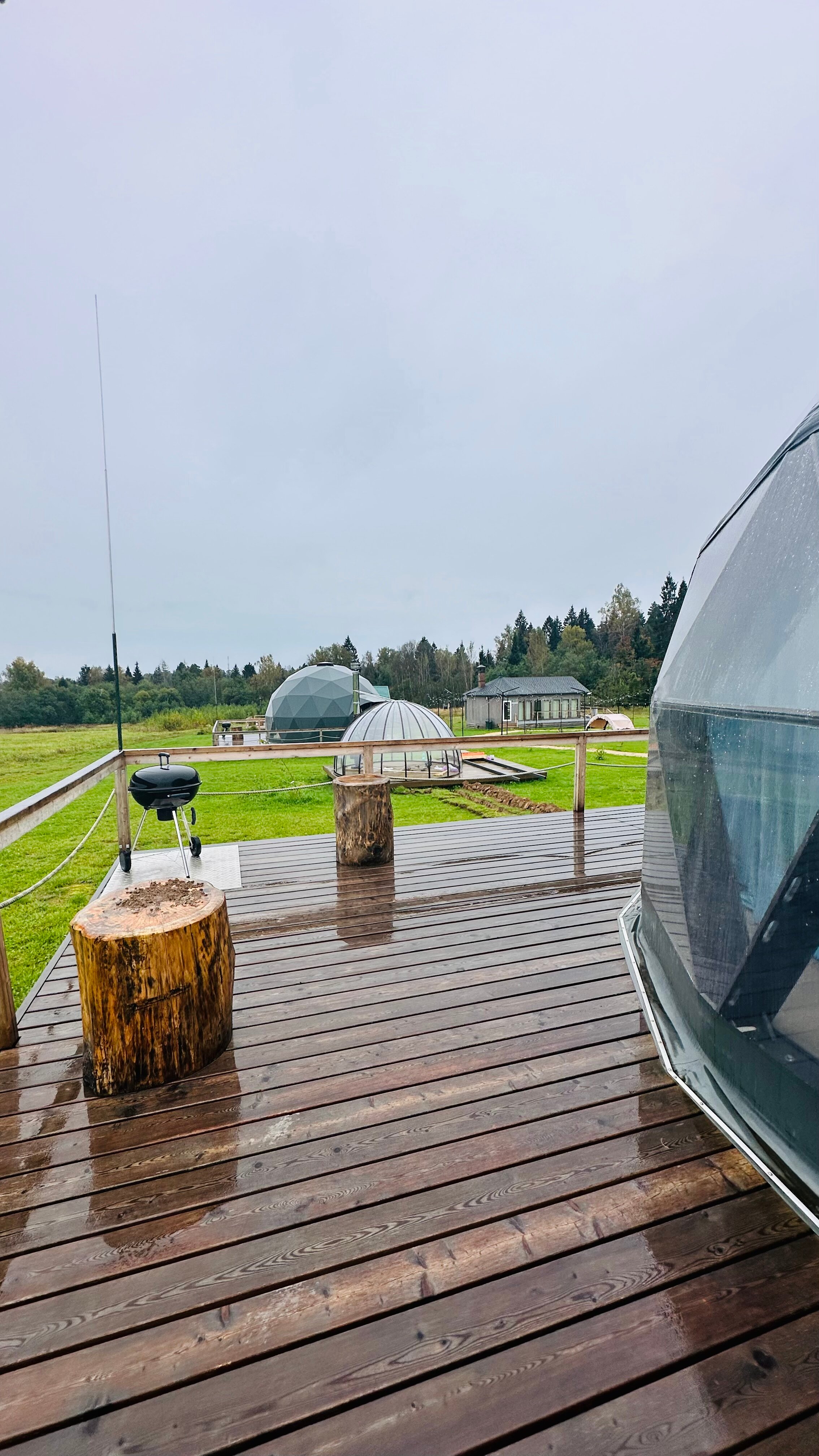 Фото Муза Рузы