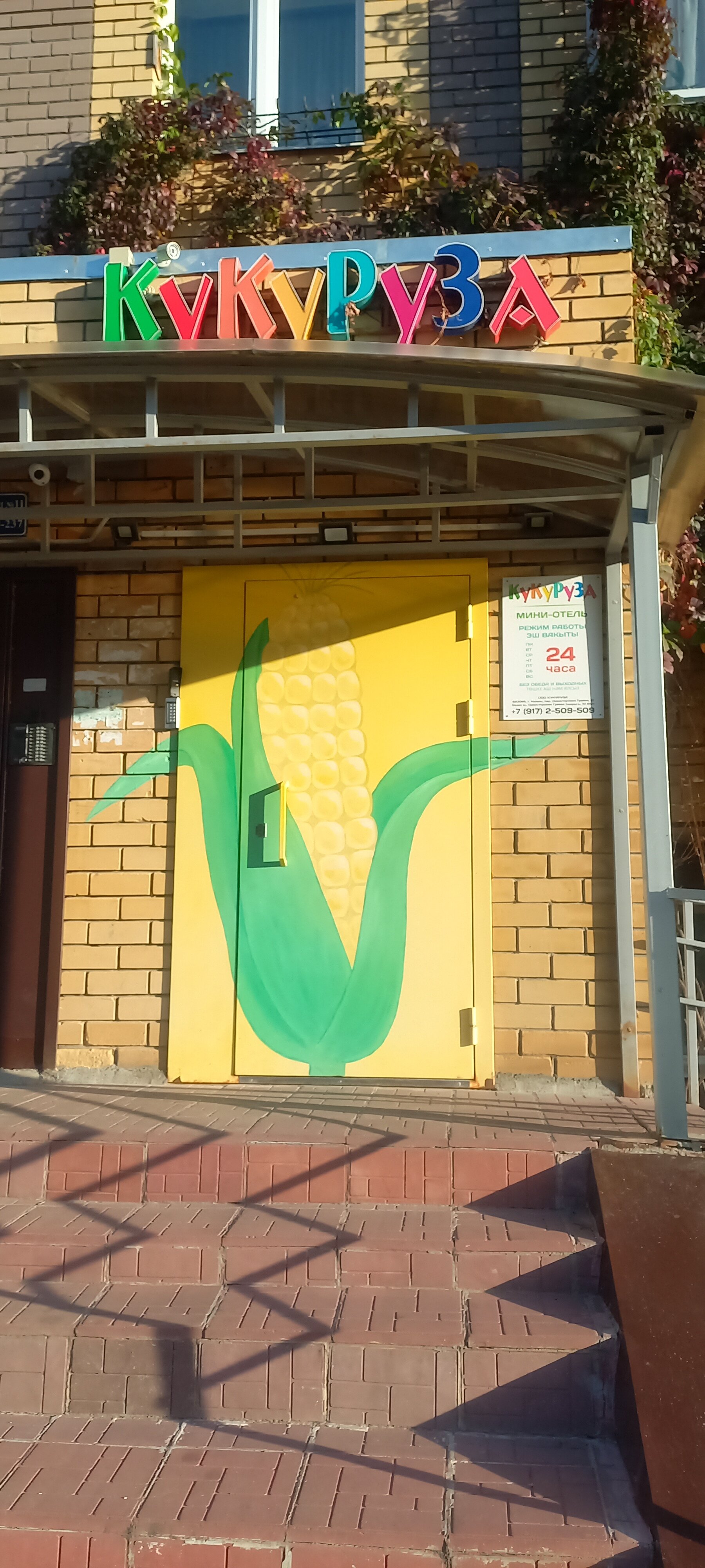 Фото Кукуруза