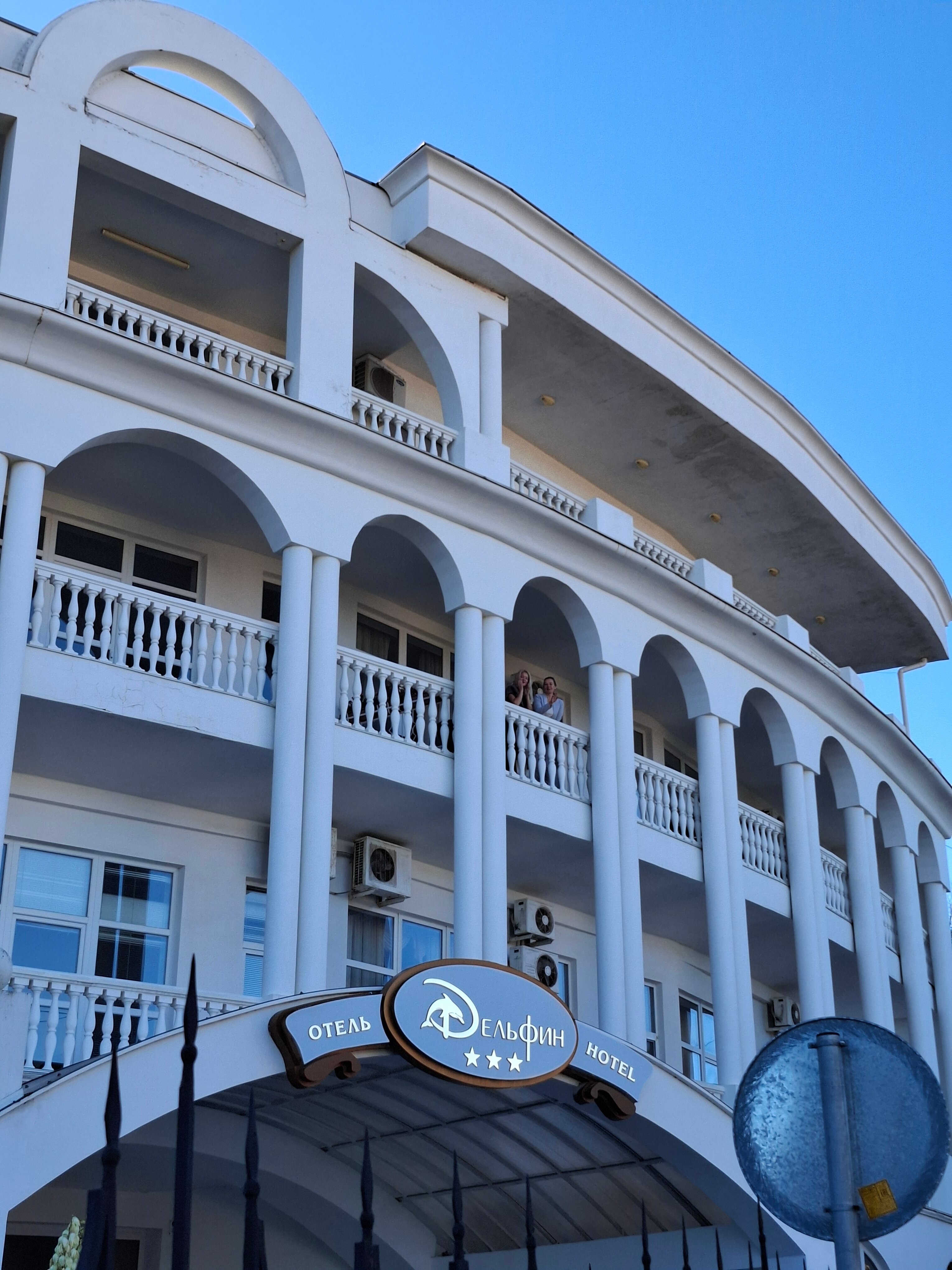 Фото Дельфин