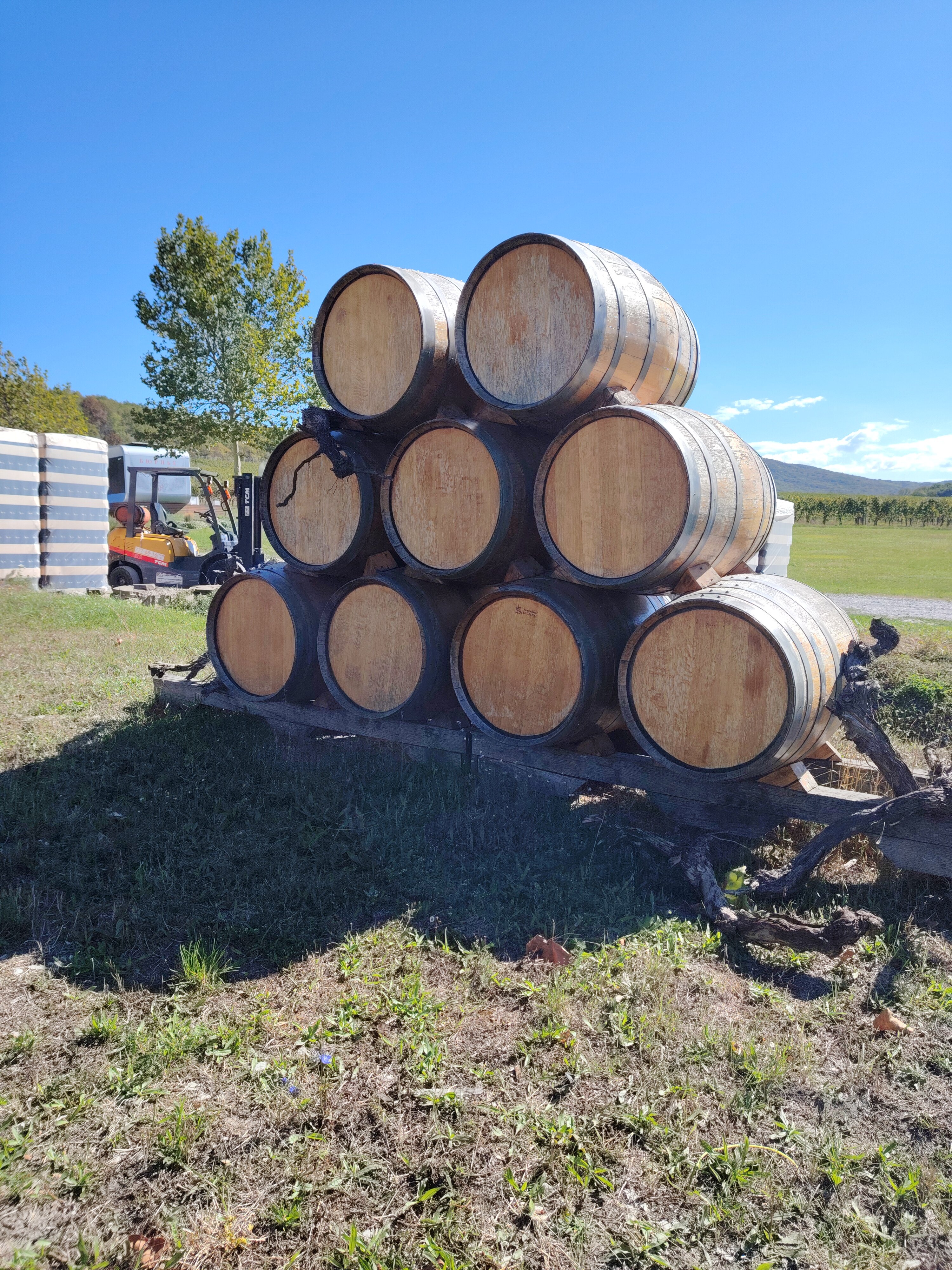 Фото Бюрнье