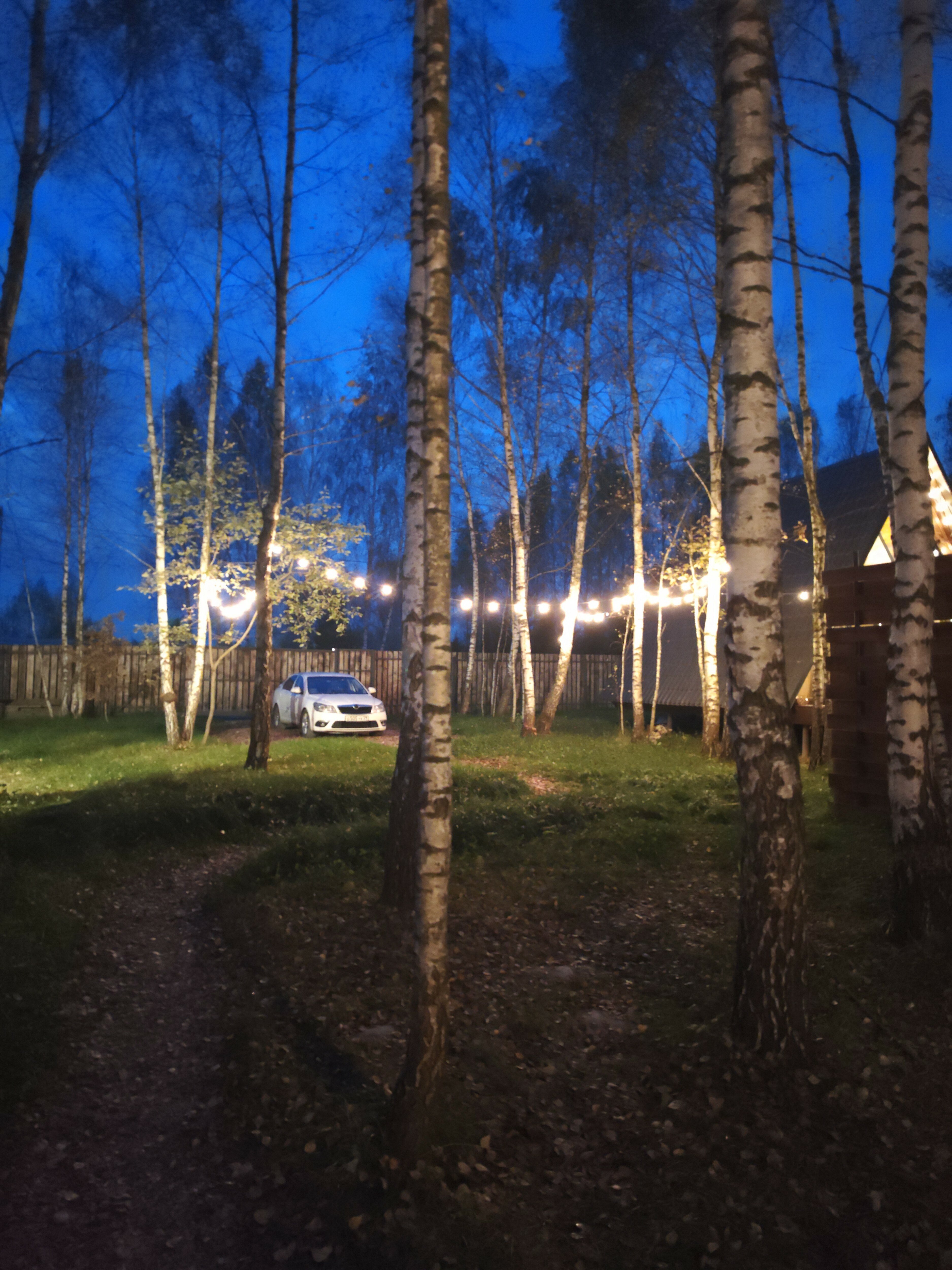 Фото Эко Дуб