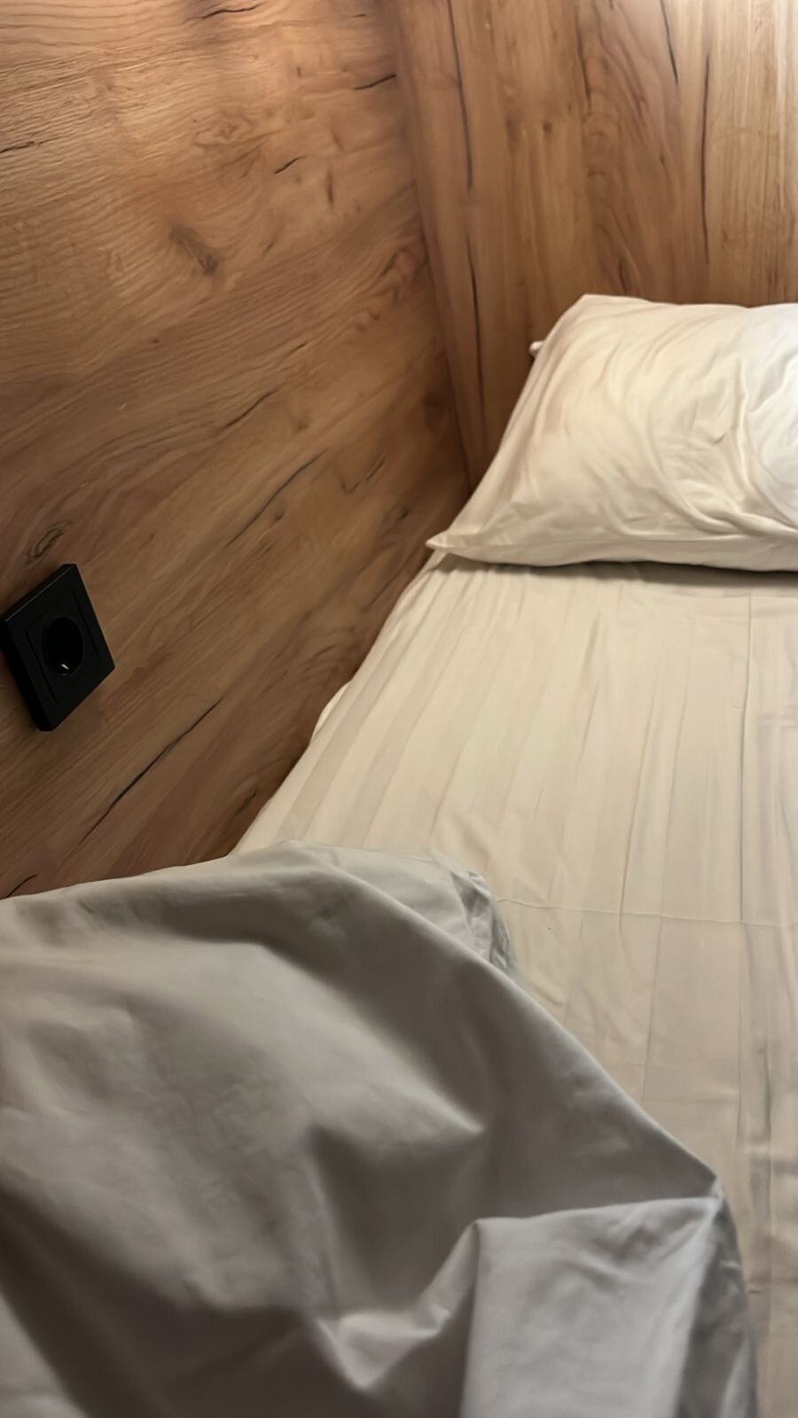 Фото Редиска