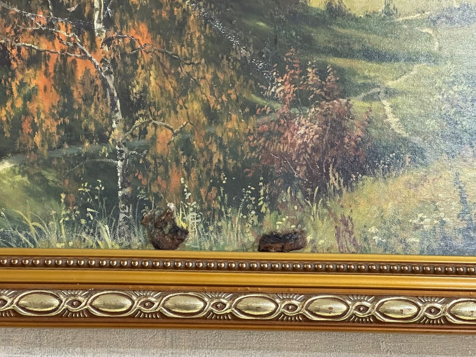 Фото Изумруд