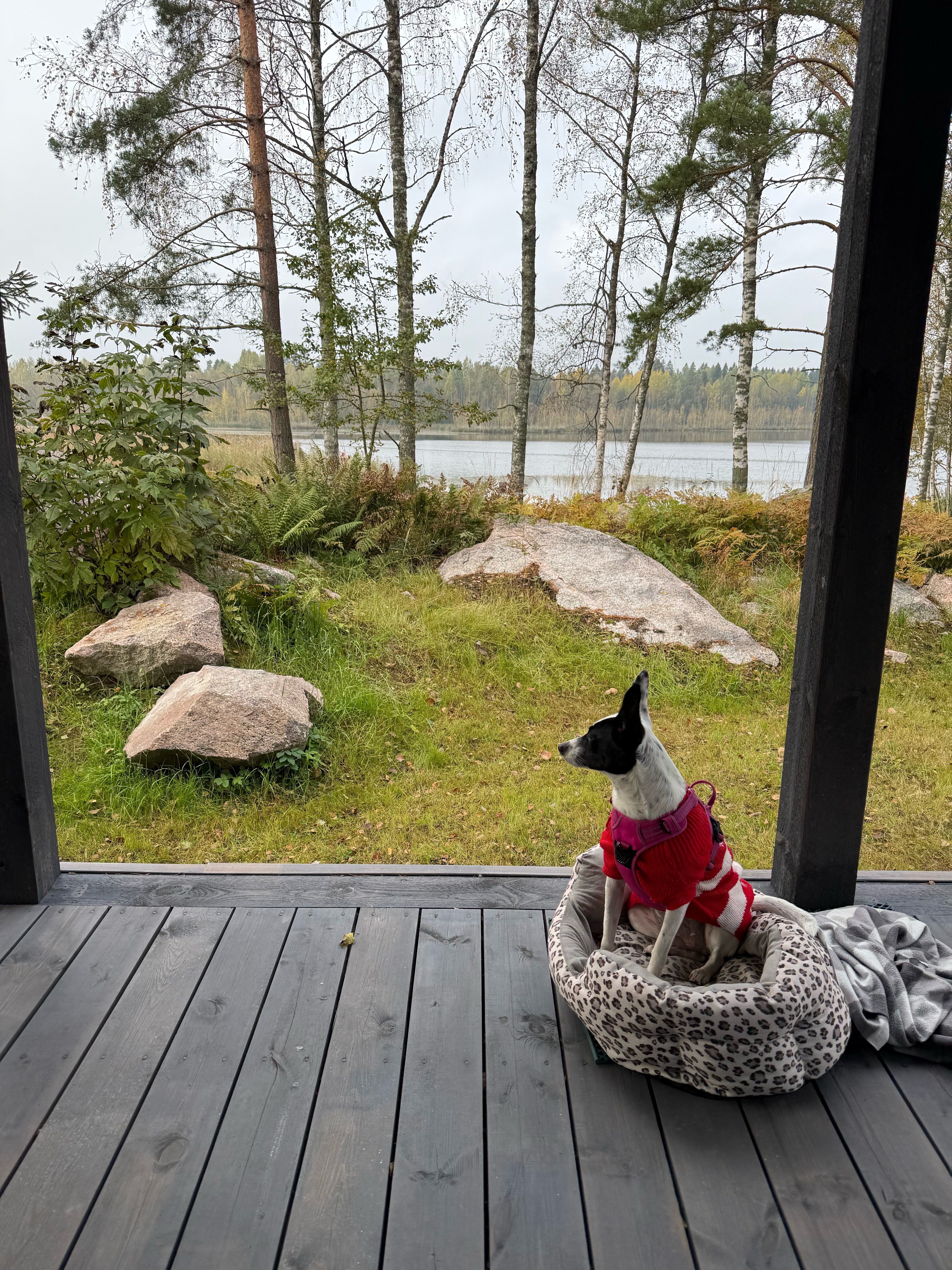 Фото Здесь живут камни