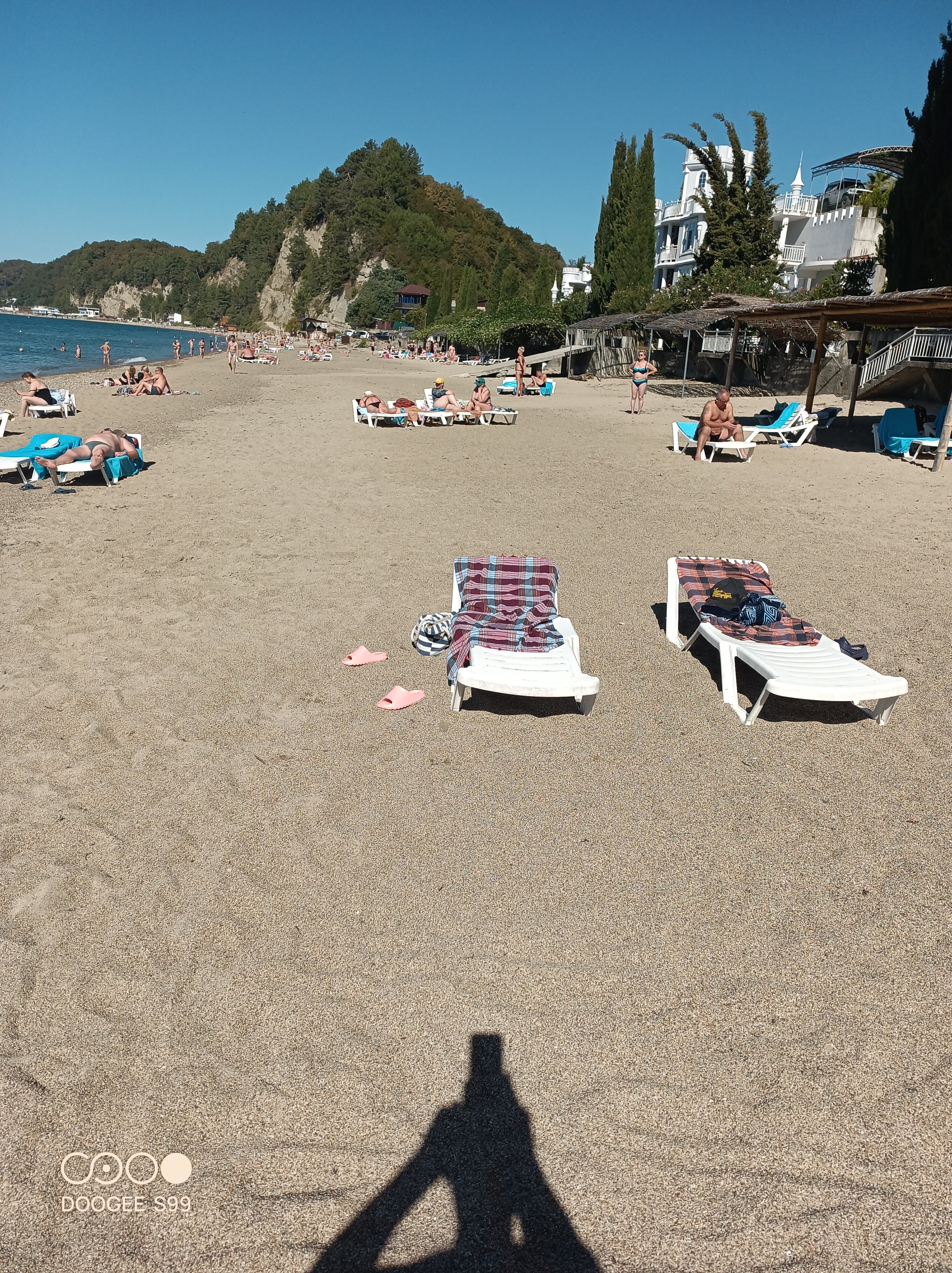 Фото Арбика