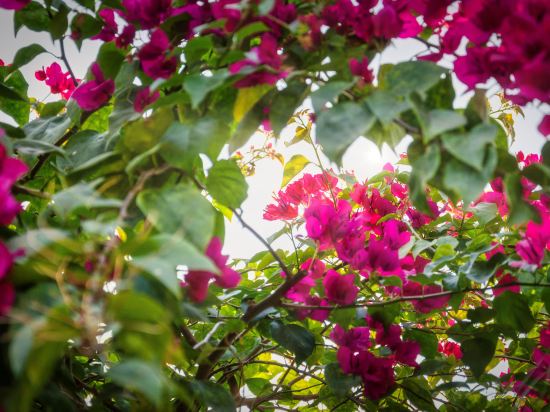 Фото Chic Stay Hana