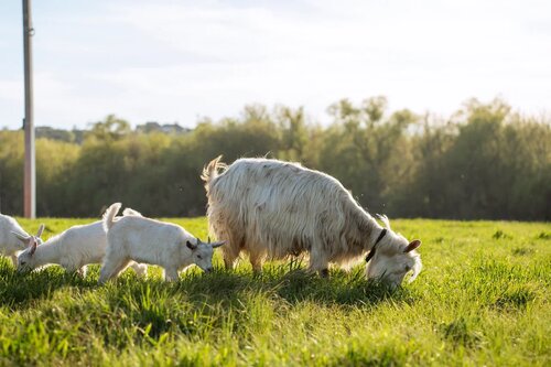 Гостиница Озёрное в Воронеже