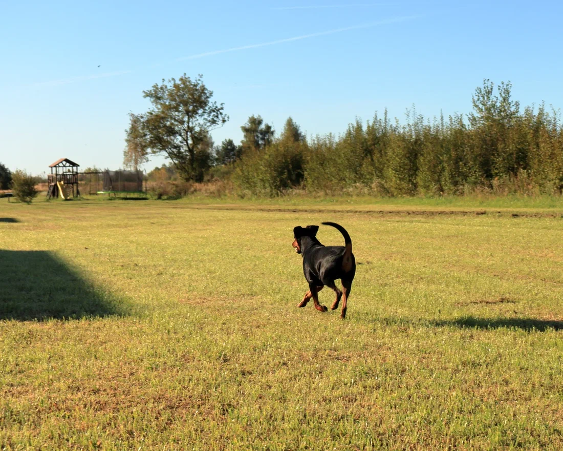 Фото Ферма Славная