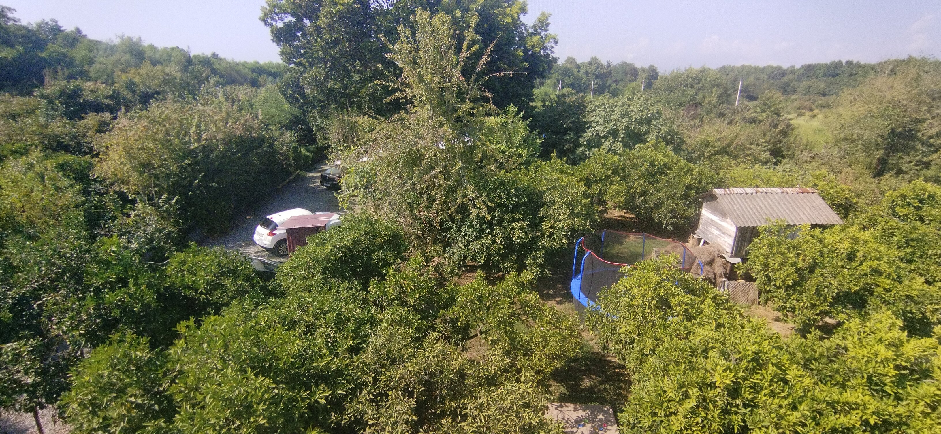 Фото Мандариновый берег