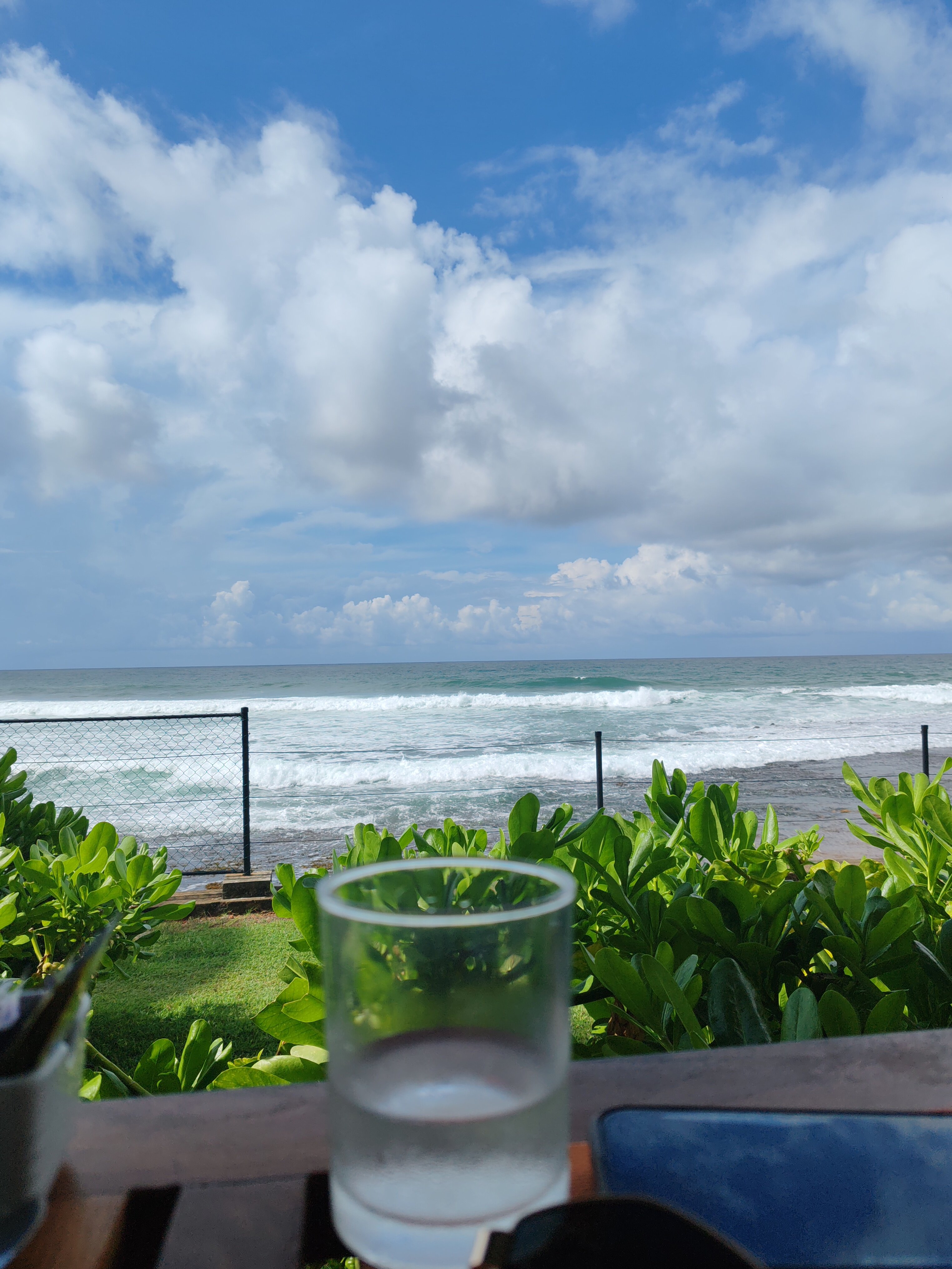 Фото Hikka Tranz by Cinnamon