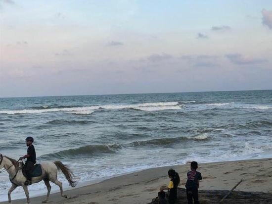 Hotel Ibai Beach Guesthouse, State of Terengganu, photo
