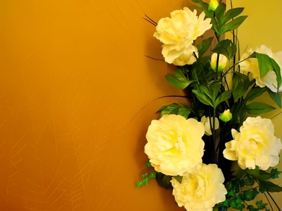 Фото Hotel Elizabeth Cebu