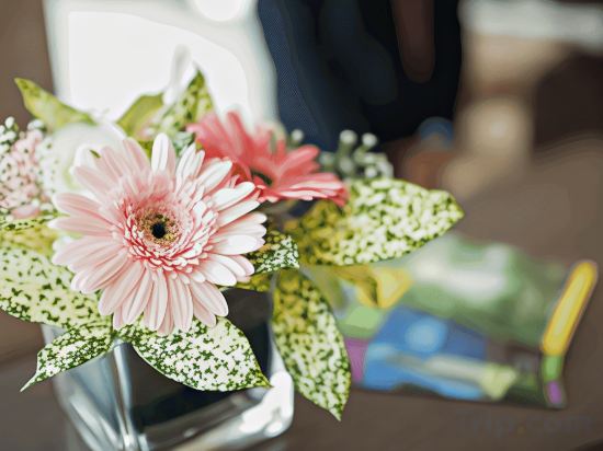 Фото Royale Signature Hotel