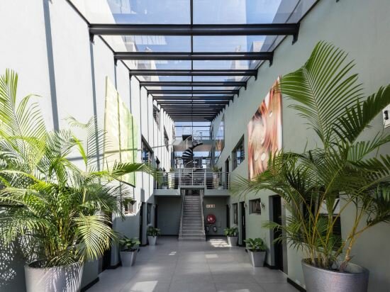 Фото Dynasty Forest Sandown Accommodation